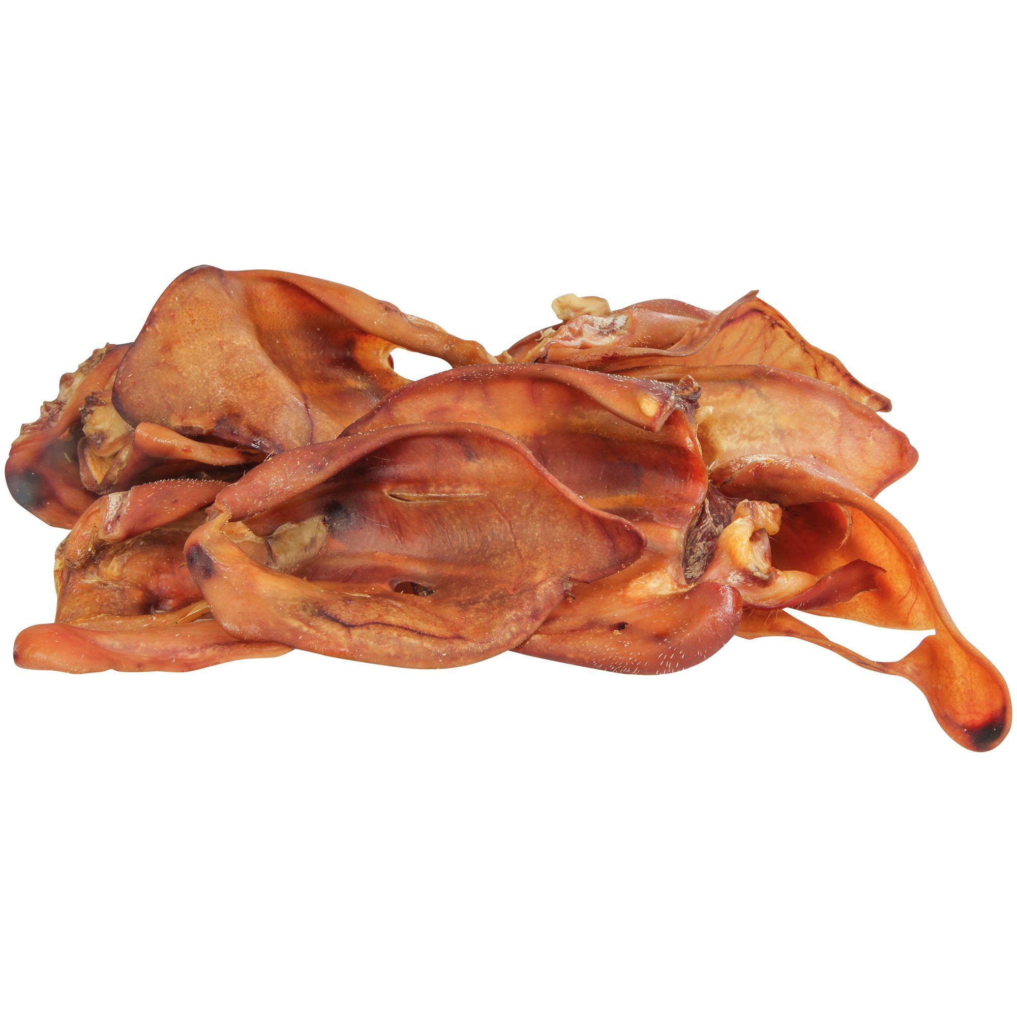 Mehrere getrocknete Schweineohren, braun und unregelmäßig geformt, auf weißem Hintergrund. Verschiedene Größen und Formen.