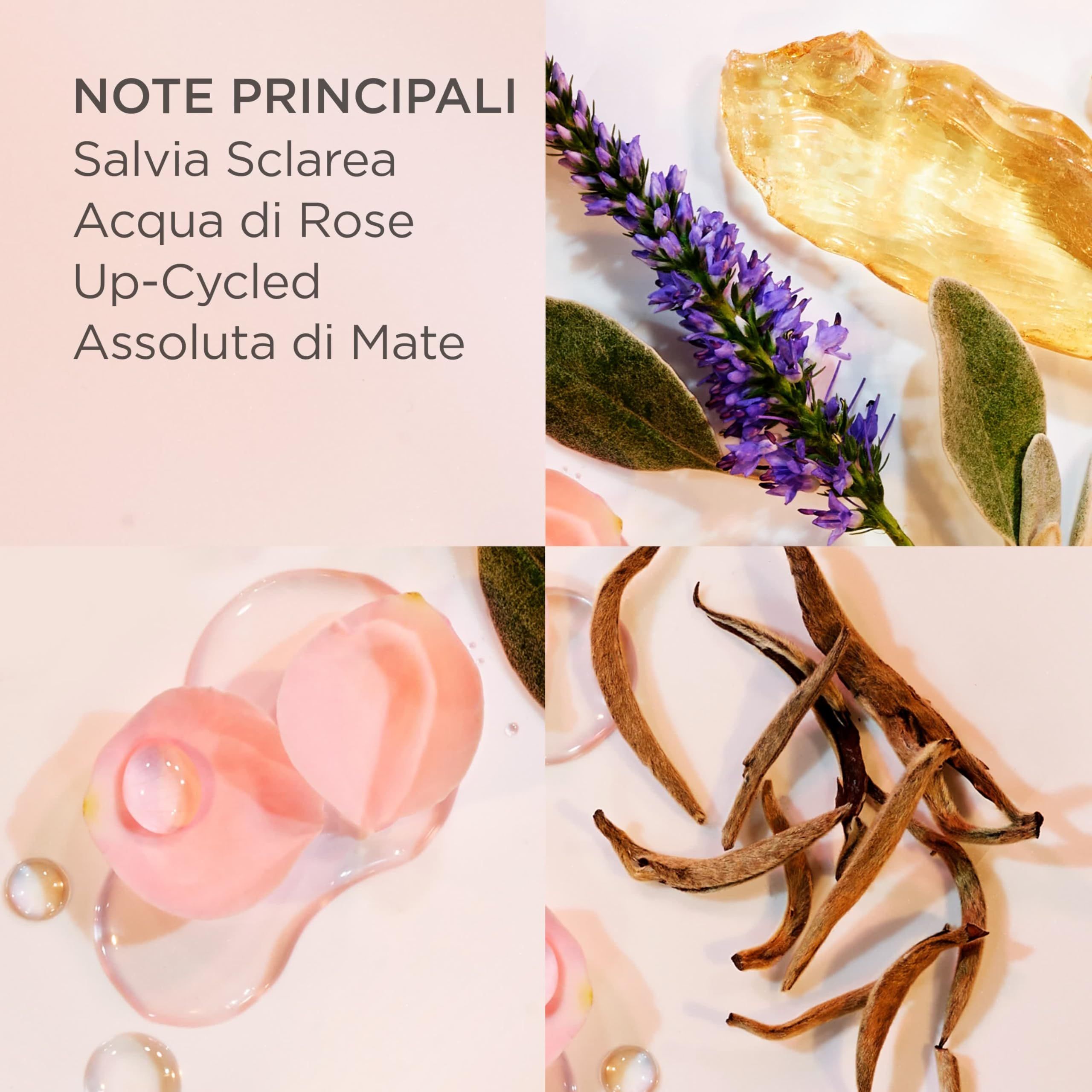 Nahaufnahme von Inhaltsstoffen: Salvia Sclarea, Rosenwasser, Up-cycled, Mate-Absolue. Blüten, Blätter, Samen.