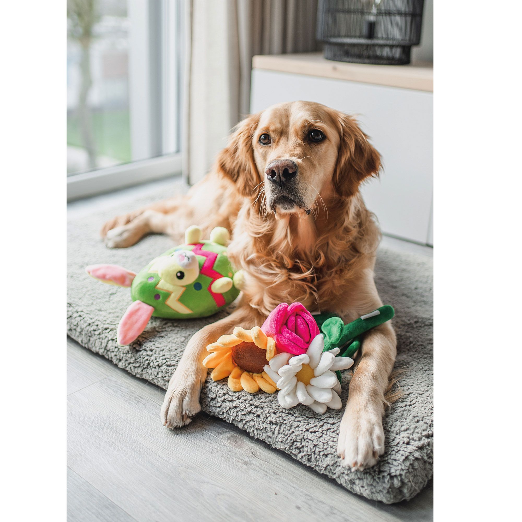 Schecker Hundespielzeug - Kaninchen Ei