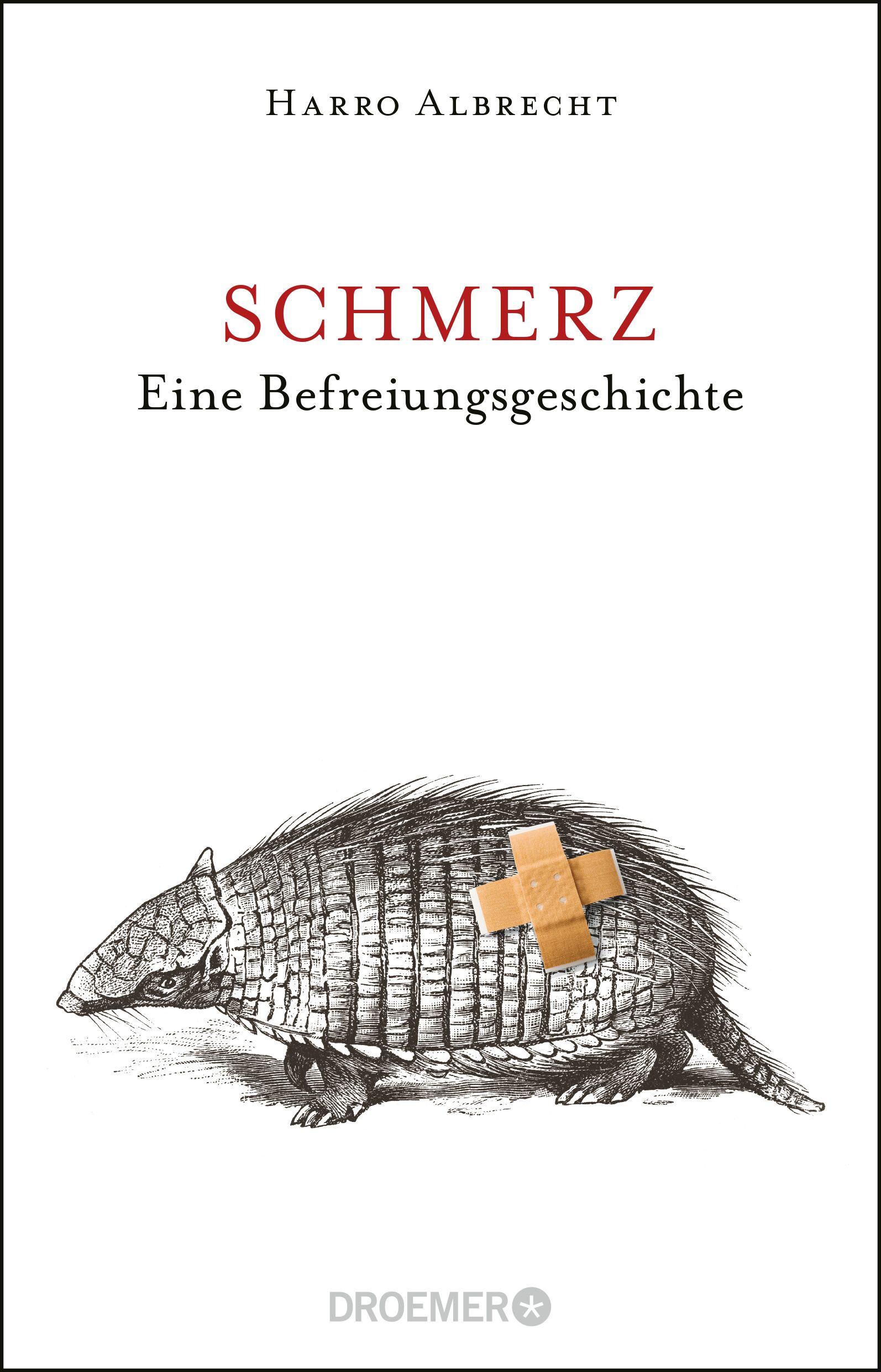 Schmerz