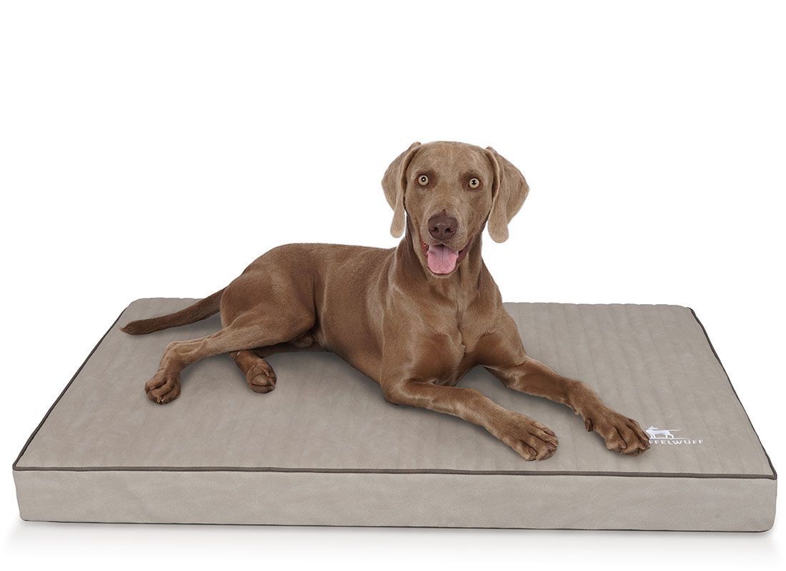 Beige Hundematte mit schwarzem Rand. Ein Hund liegt auf der Matte. Das Logo ist rechts unten sichtbar.