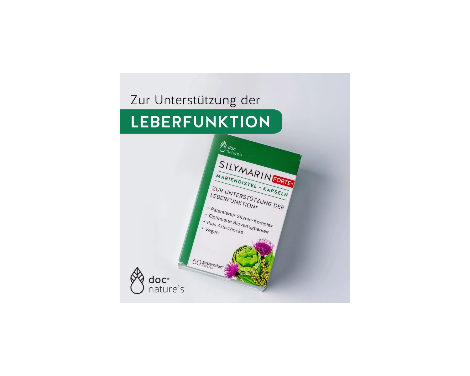 Produktverpackung mit Mariendistel-Kapseln. Grün-weißes Design, Produktname und Logo sichtbar. 60 Kapseln.