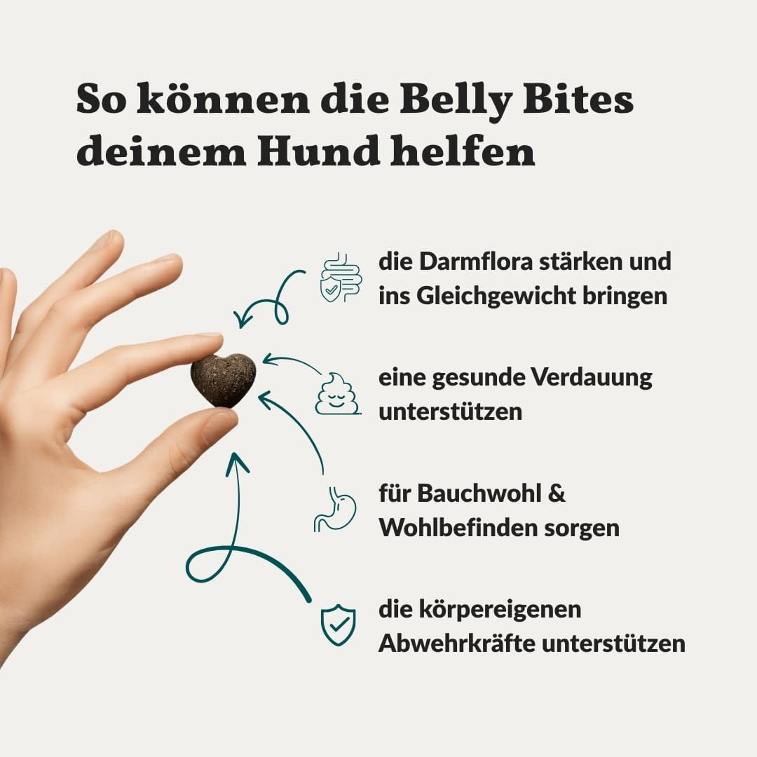 Hand hält Herzförmigen Snack. Pfeile zeigen auf Darmflora, Verdauung, Bauchwohl, Abwehrkräfte. Text: So können Belly Bites helfen.