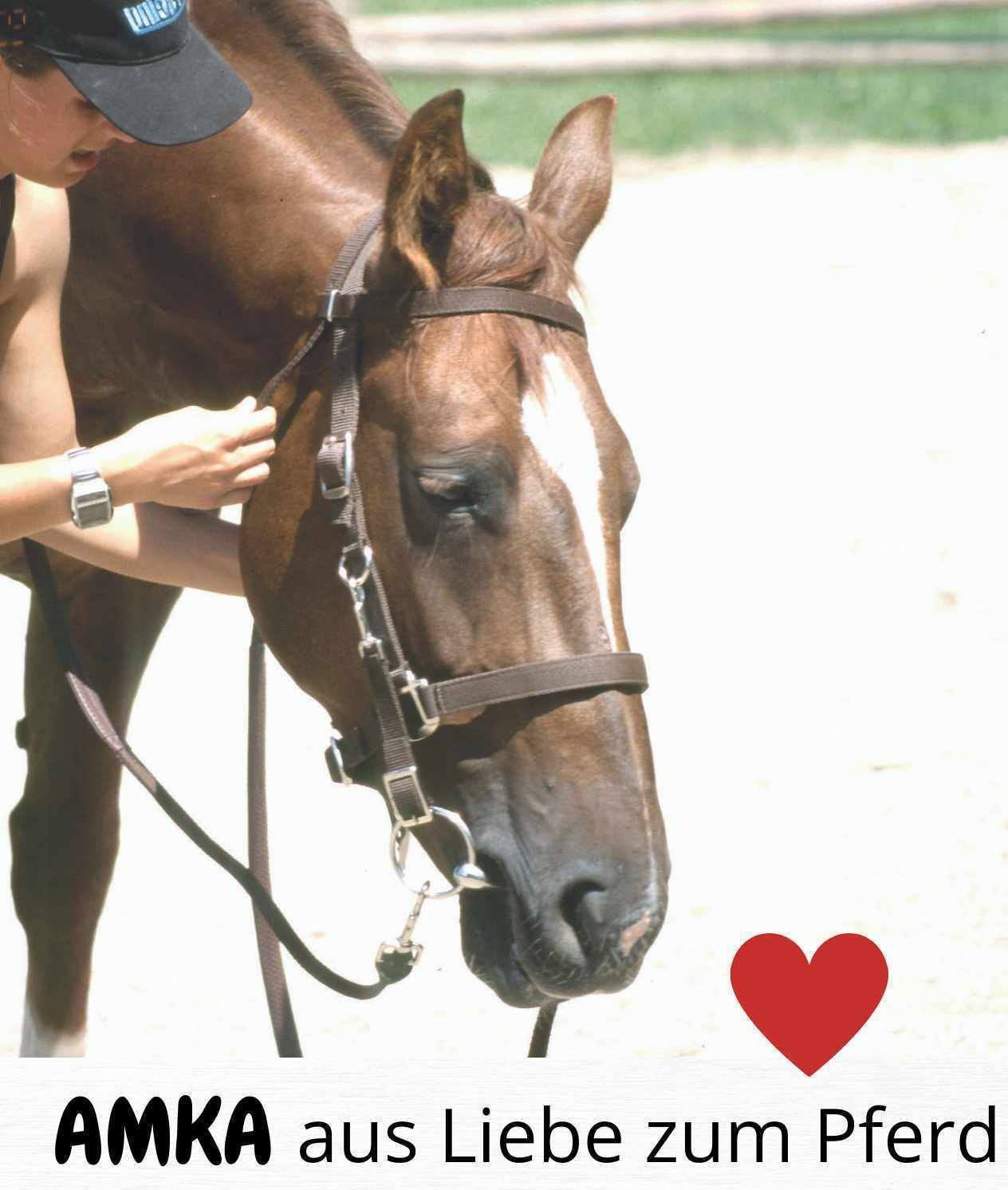 Pferd mit Zaumzeug. Text: AMKA aus Liebe zum Pferd. Rotes Herz.