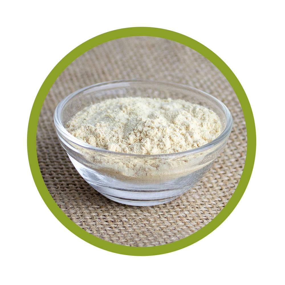 vitalundfitmit100® Bio Erbsen Protein Pulver