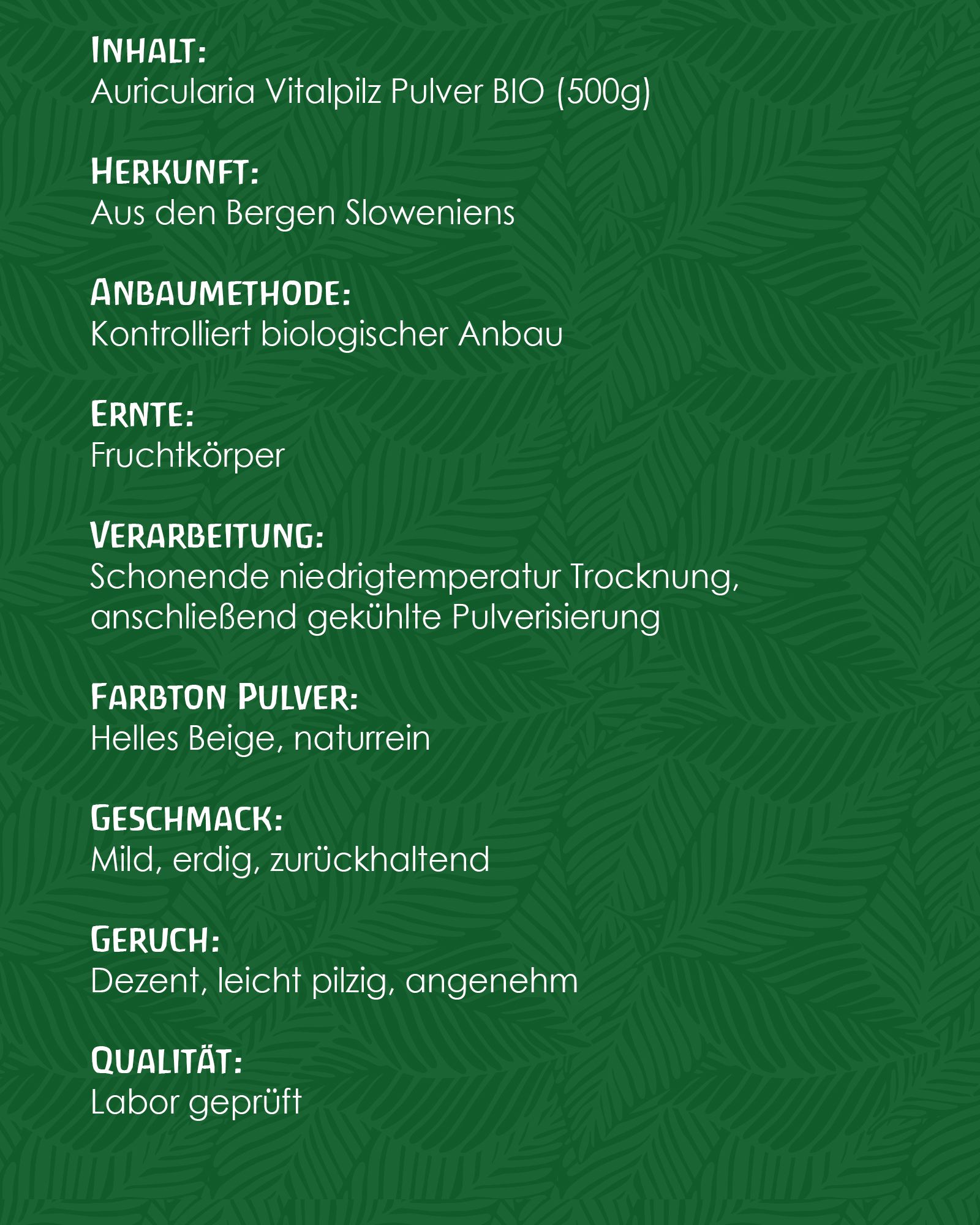 Tausendkraut Auricularia Vitalpilz Pulver BIO (Judasohr)