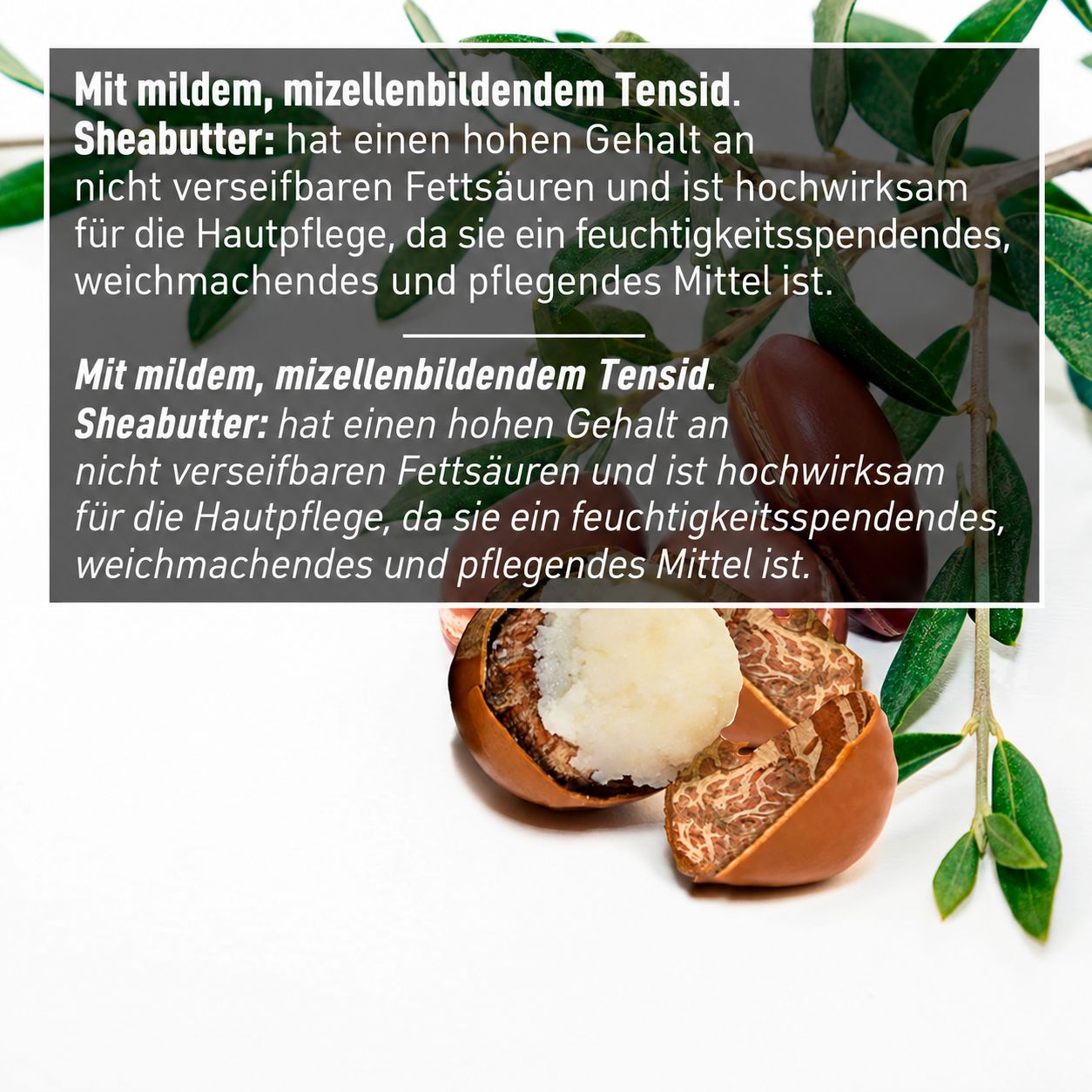 Sheabutter und Olivenzweig. Text über milde, mizellenbildende Tenside und Sheabutter.