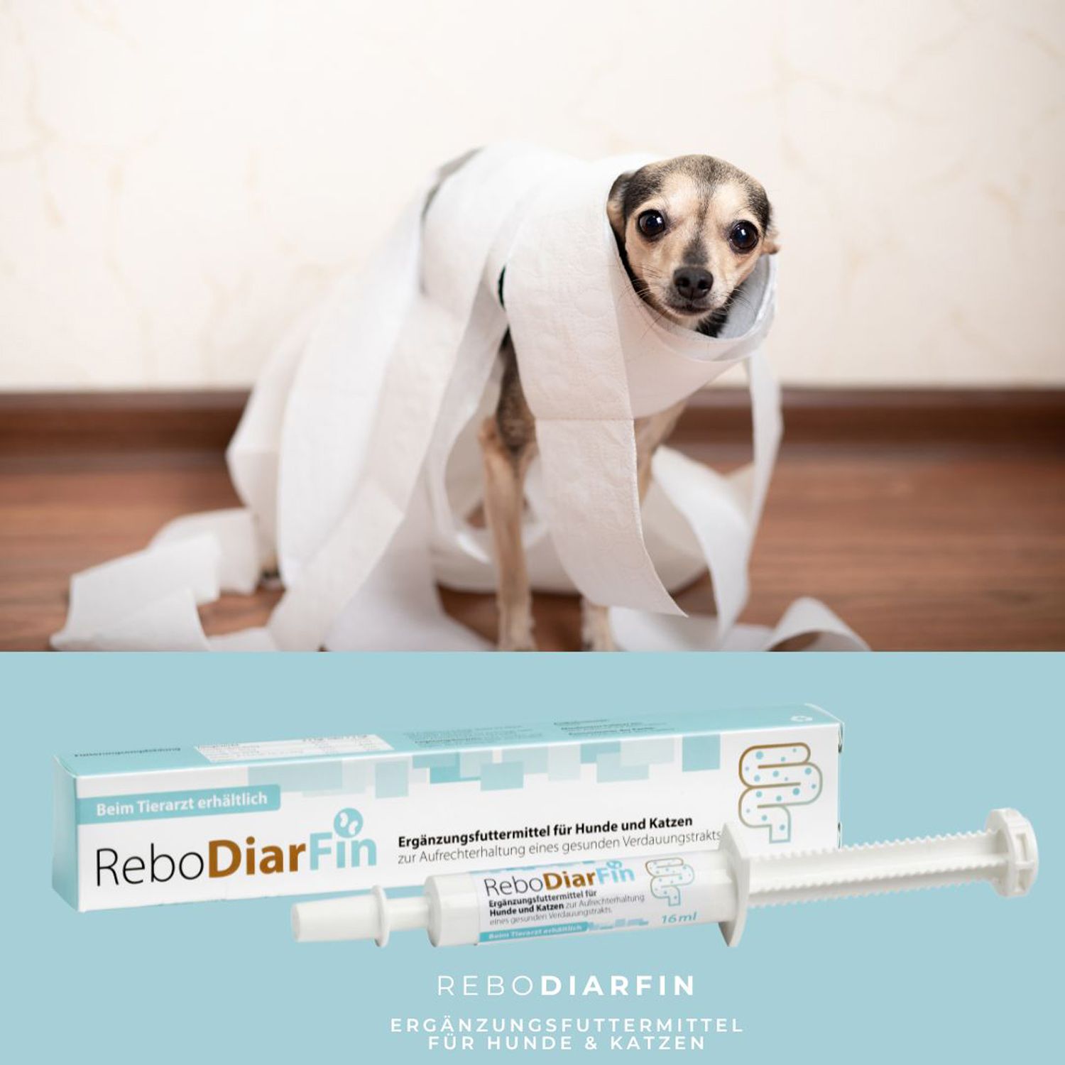 reboVet ReboDiarFin