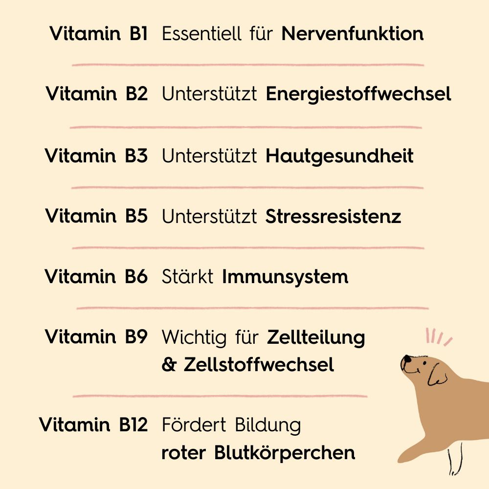 Vitamin B1: Nervenfunktion. B2: Energiestoffwechsel. B3: Hautgesundheit. B5: Stressresistenz. B6: Immunsystem. B9: Zellteilung. B12: Bildung roter Blutkörperchen.