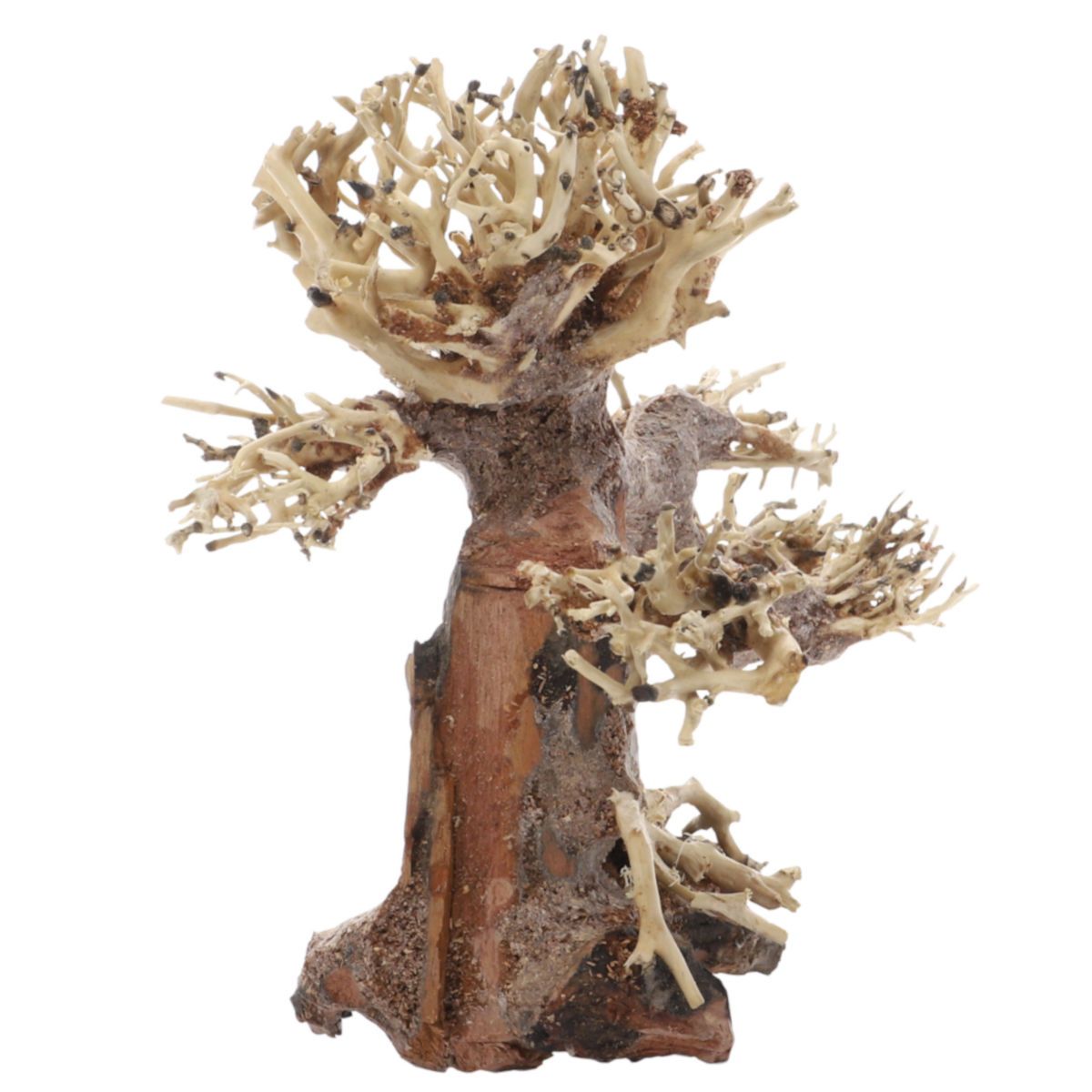 Dupla Bonsai - handgefertigte Dekoration für Aquarien
