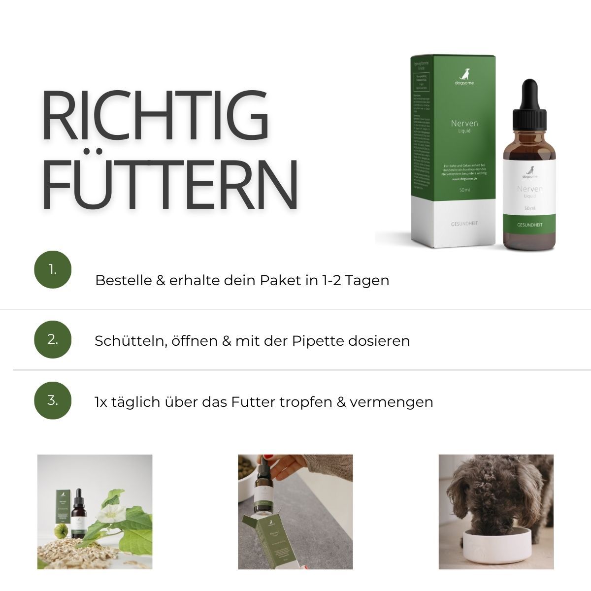 dogsome Nerven Liquid