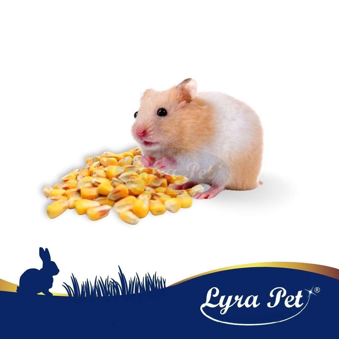 Lyra Pet® Futtermais Qualitätsfutter Körnermais 25 kg Futter