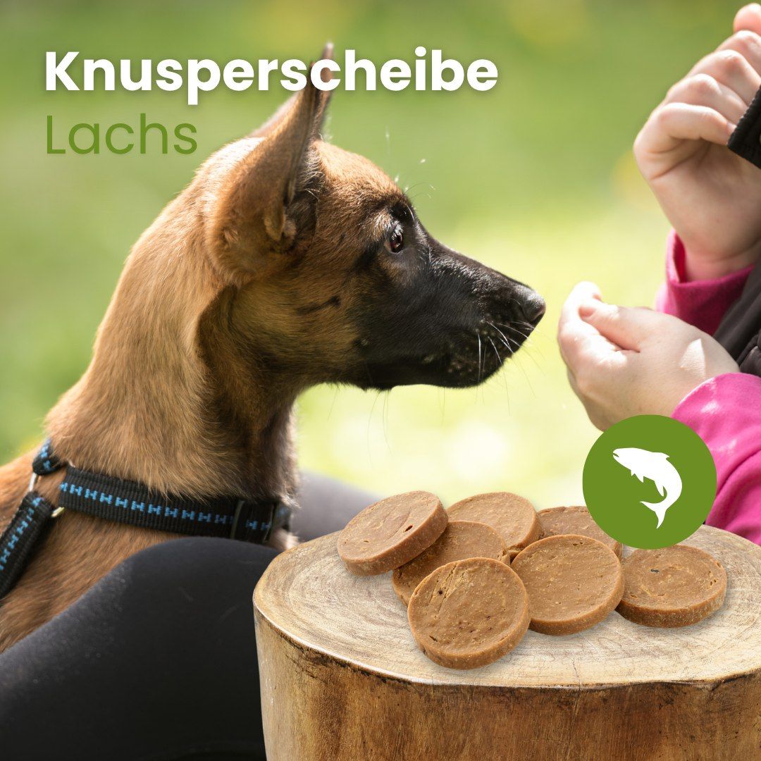 Ein Hund wird von einer Person mit Lachsknusperscheiben gefüttert, die auf einem Holzstamm liegen.