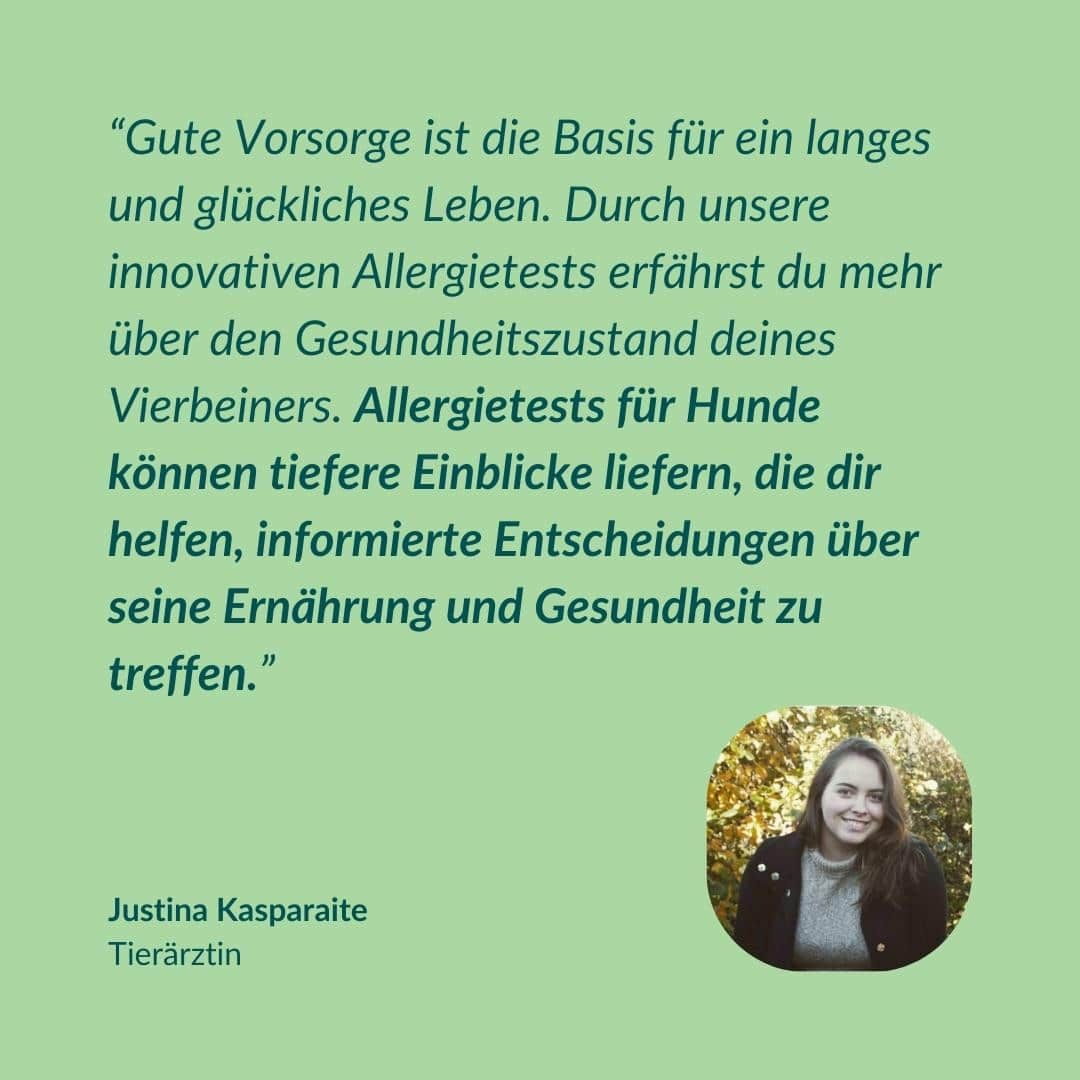 Zitat einer Tierärztin über die Wichtigkeit von Allergietests für Hunde zur Verbesserung der Gesundheit.