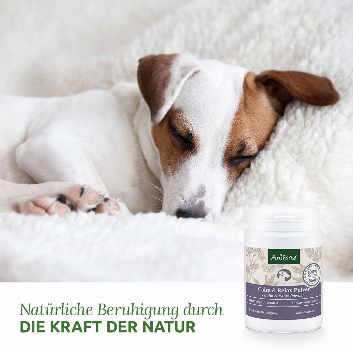 Hund schläft auf weißer Decke. Daneben Dose mit AniForte-Etikett. Text: Natürliche Beruhigung durch die Kraft der Natur.