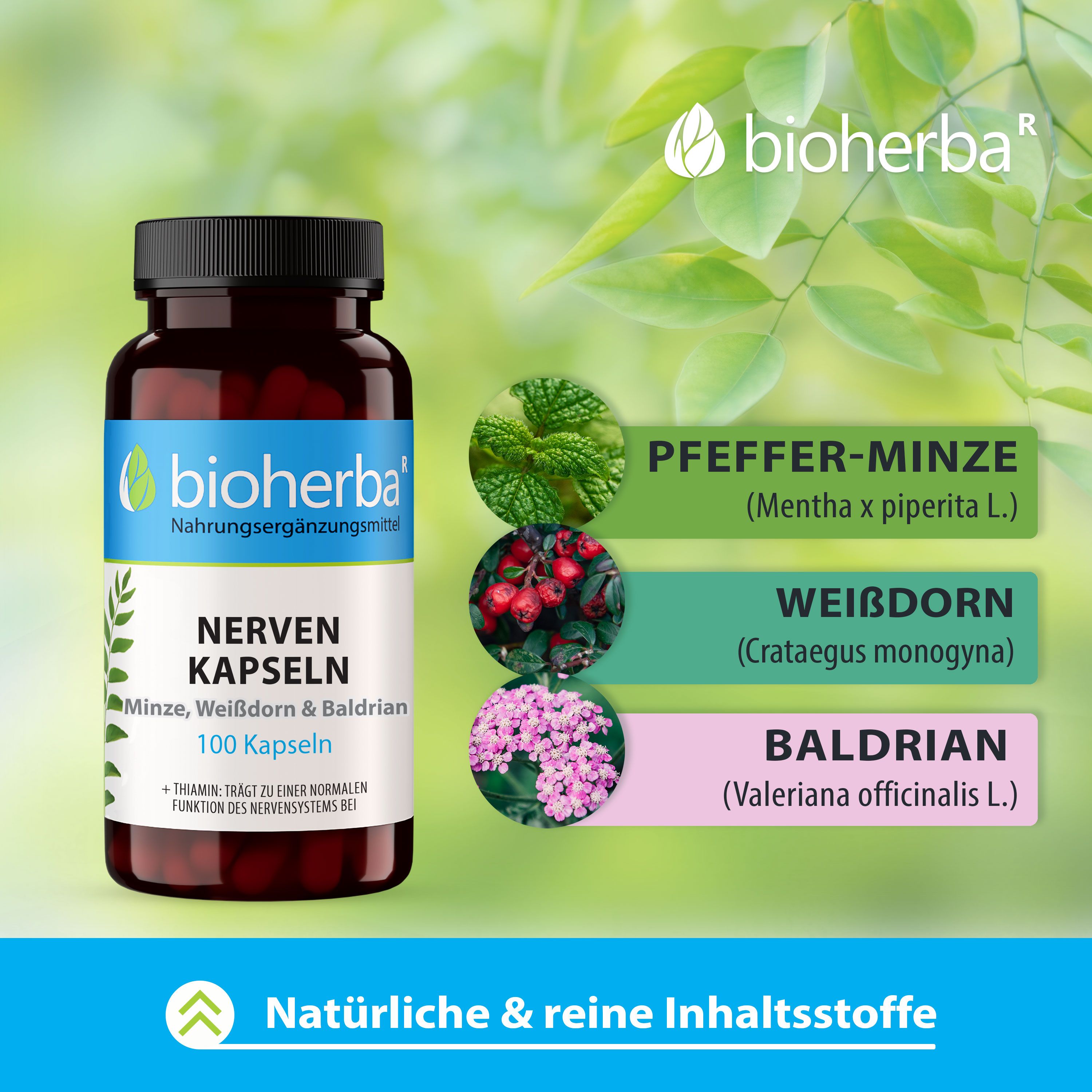 Bioherba Nerven Kaspeln mit Minze, Weißdorn und Baldrian