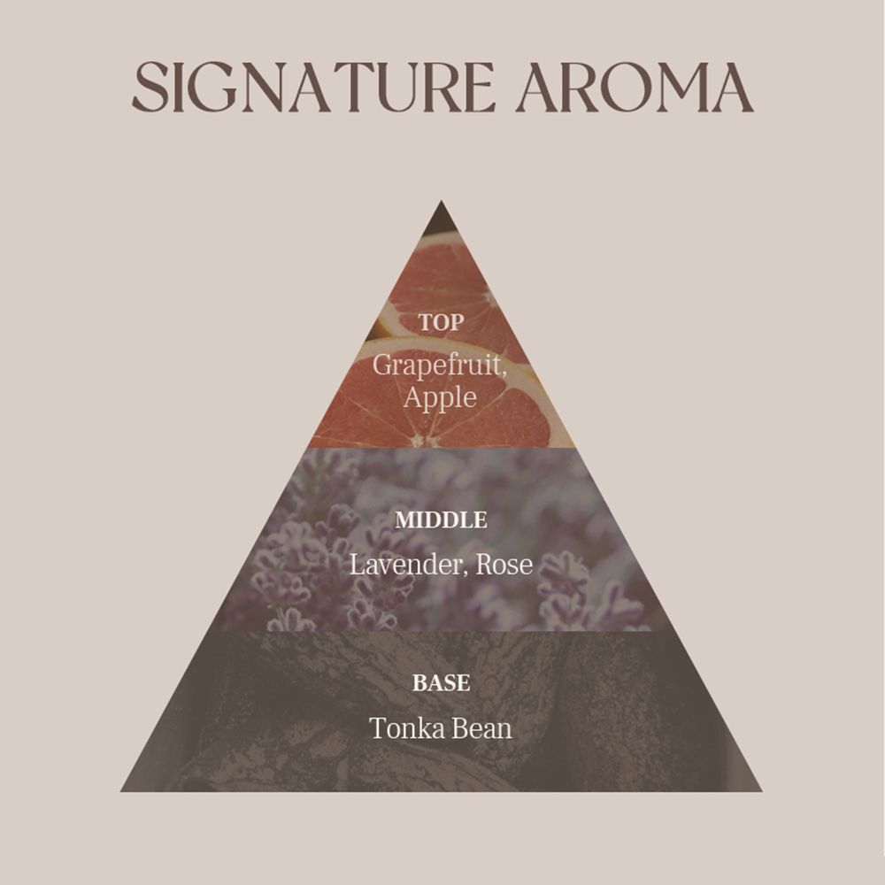 Pyramidenförmige Grafik. Beschriftung: Signature Aroma. Schichten: Grapefruit, Apfel; Lavendel, Rose; Tonkabohne.