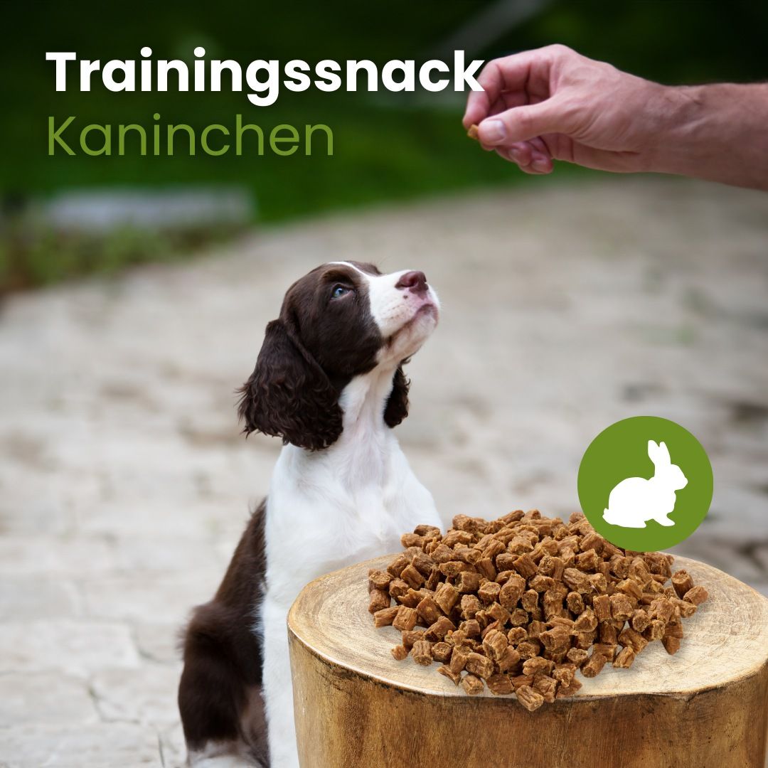 Trainingssnack Kaninchen: 96% Kaninchen, 4% Tapioka. Schonendes Trocknungsverfahren.