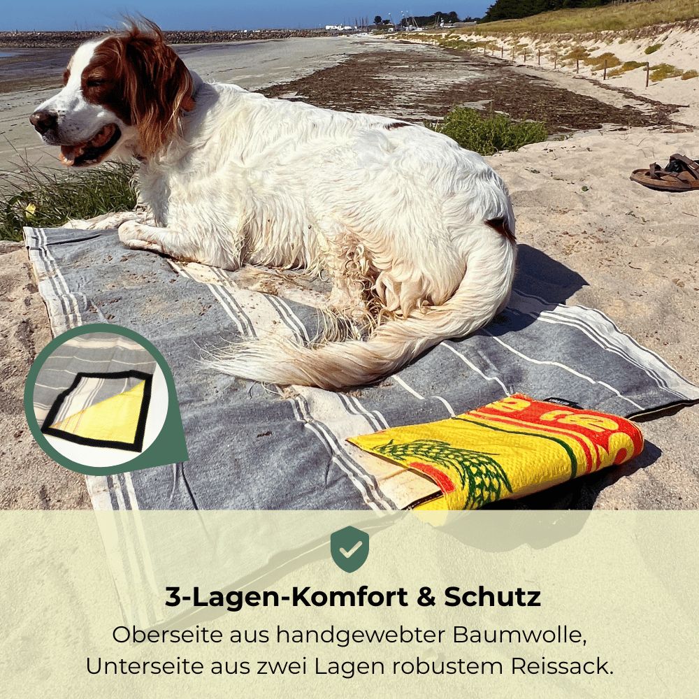 Hund liegt auf einer gestreiften Decke am Strand, Nahaufnahme.