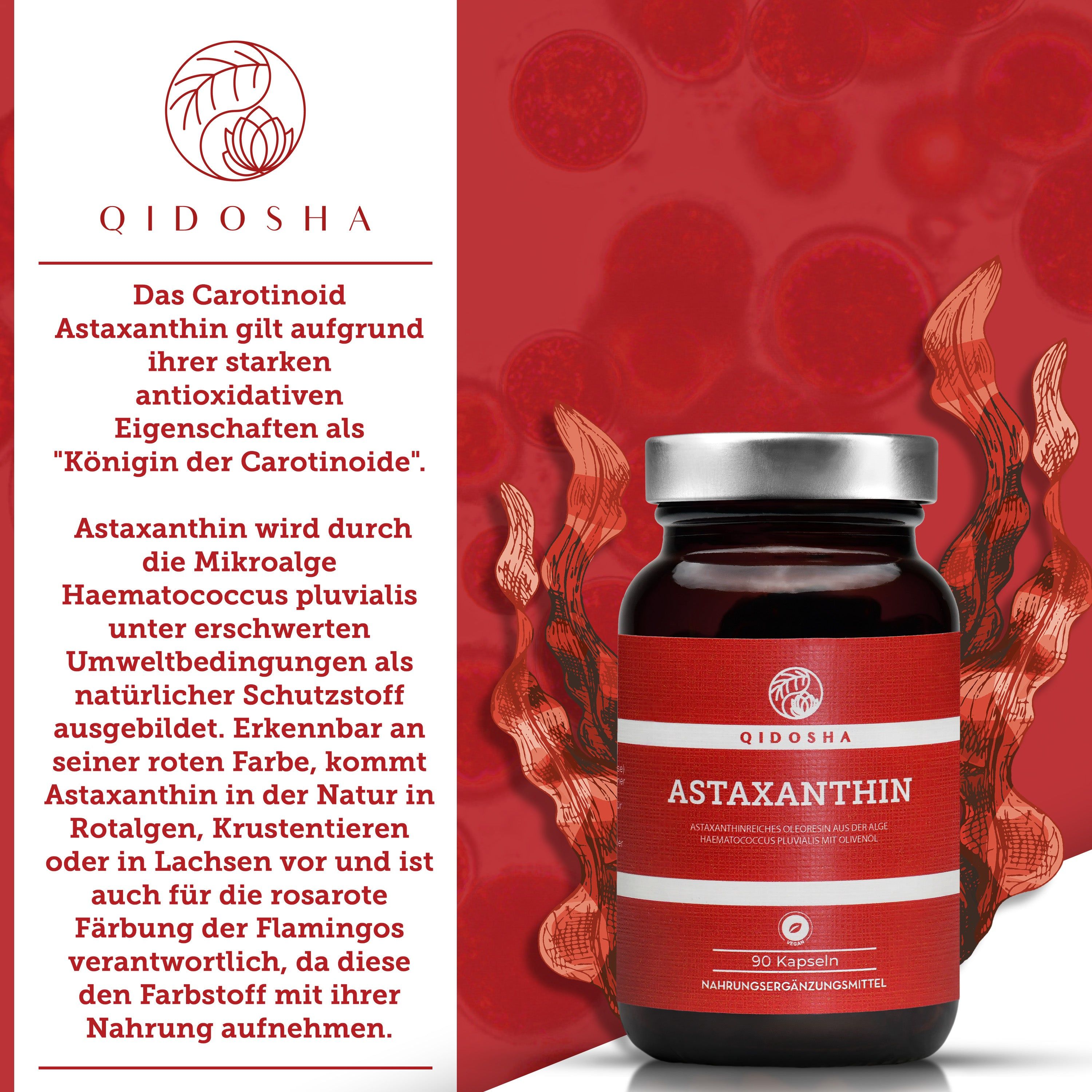 QIDOSHA Astaxanthin Kapseln in Braunglasflasche. Text erklärt die Herkunft und Eigenschaften von Astaxanthin.