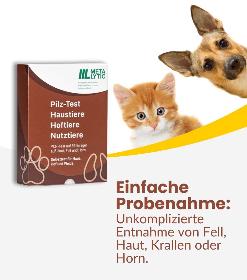 MetaLytic Pilz-Test für Tiere: Einfache Probenahme von Fell, Haut, Krallen oder Horn.
