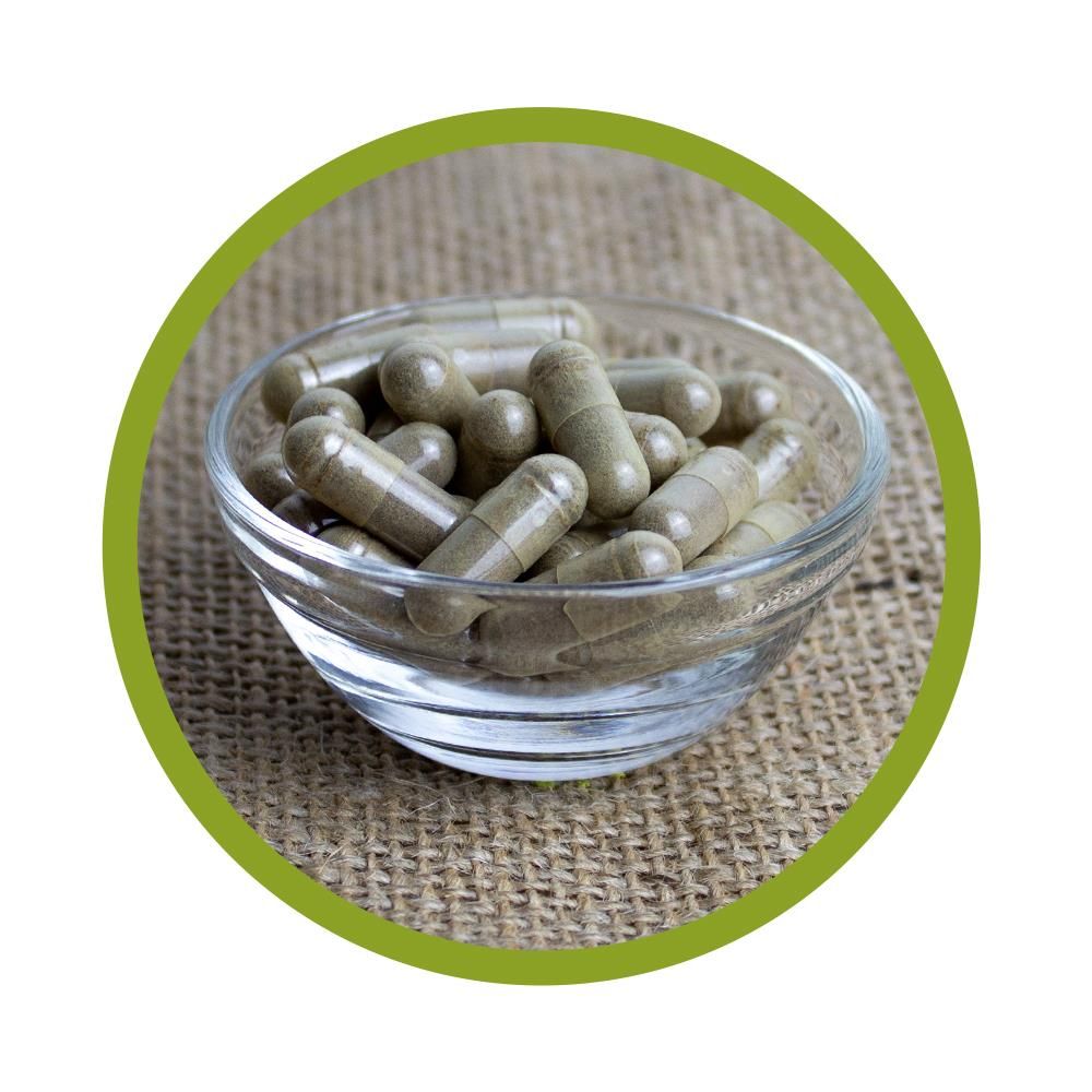 vitalundfitmit100® Bio Propolis Kapseln