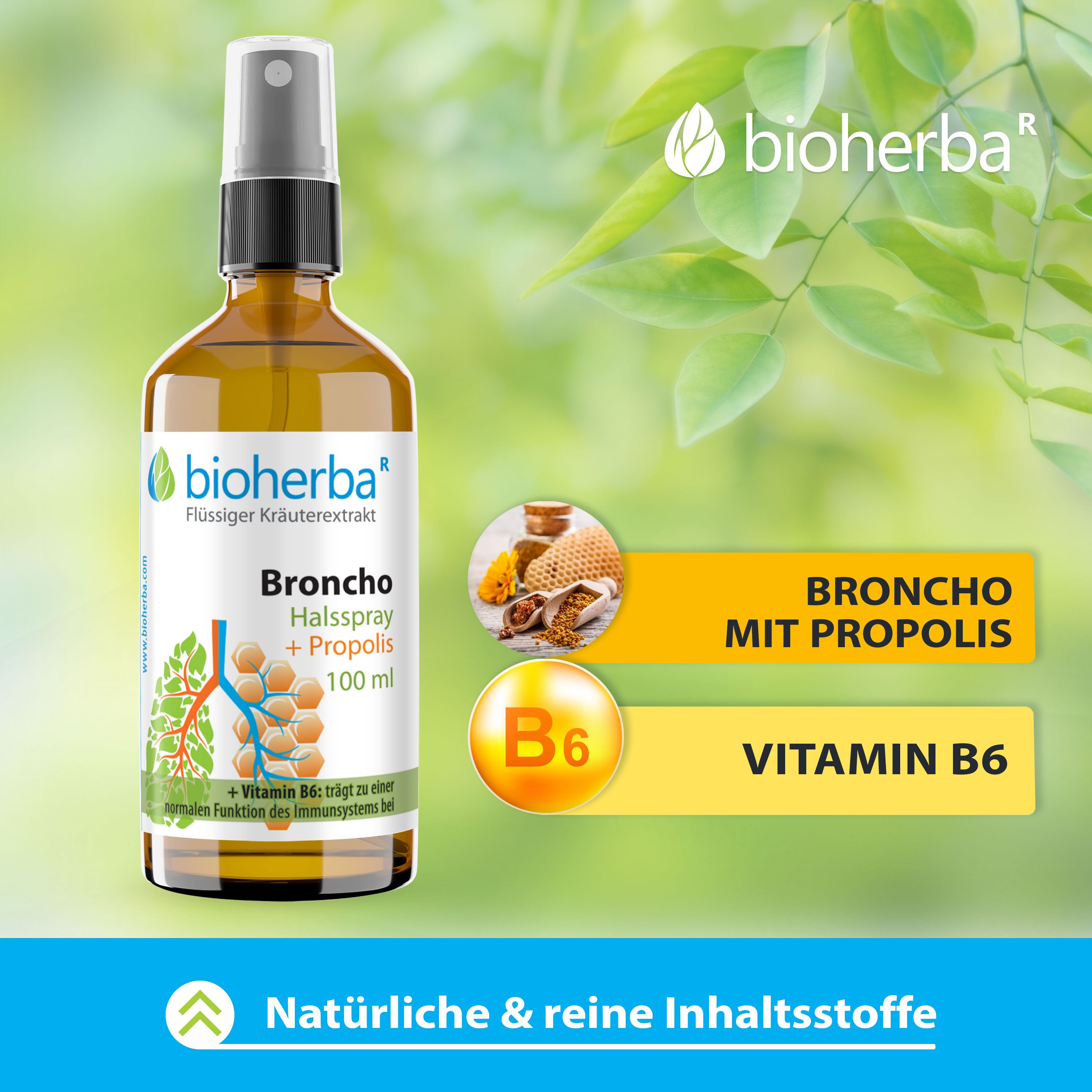 Bioherba Halsspray Broncho mit Propolis Extrakt