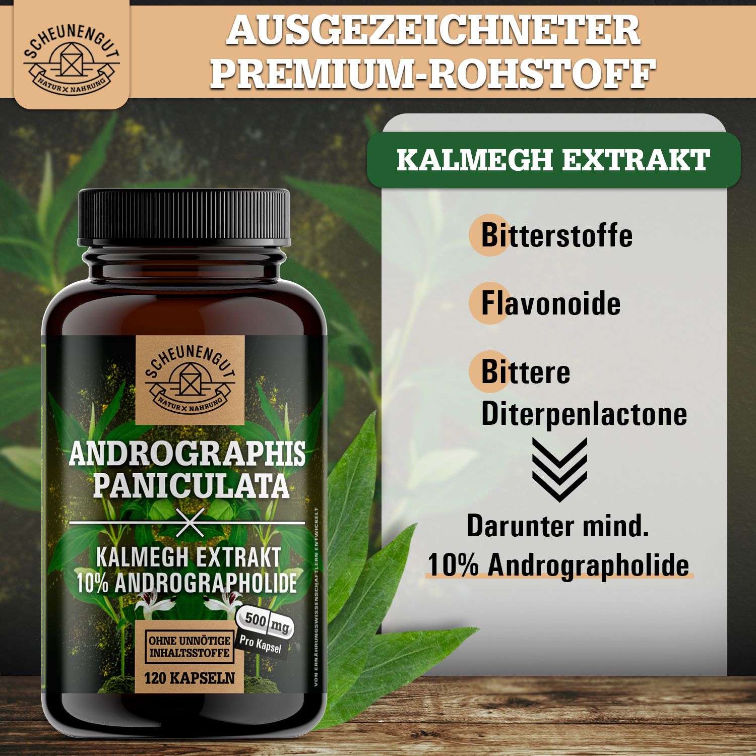 Braune Flasche mit Kapseln. Aufschrift: Andrographis Paniculata, Kalmegh Extrakt, 10% Andrographolide. Blätter im Hintergrund.