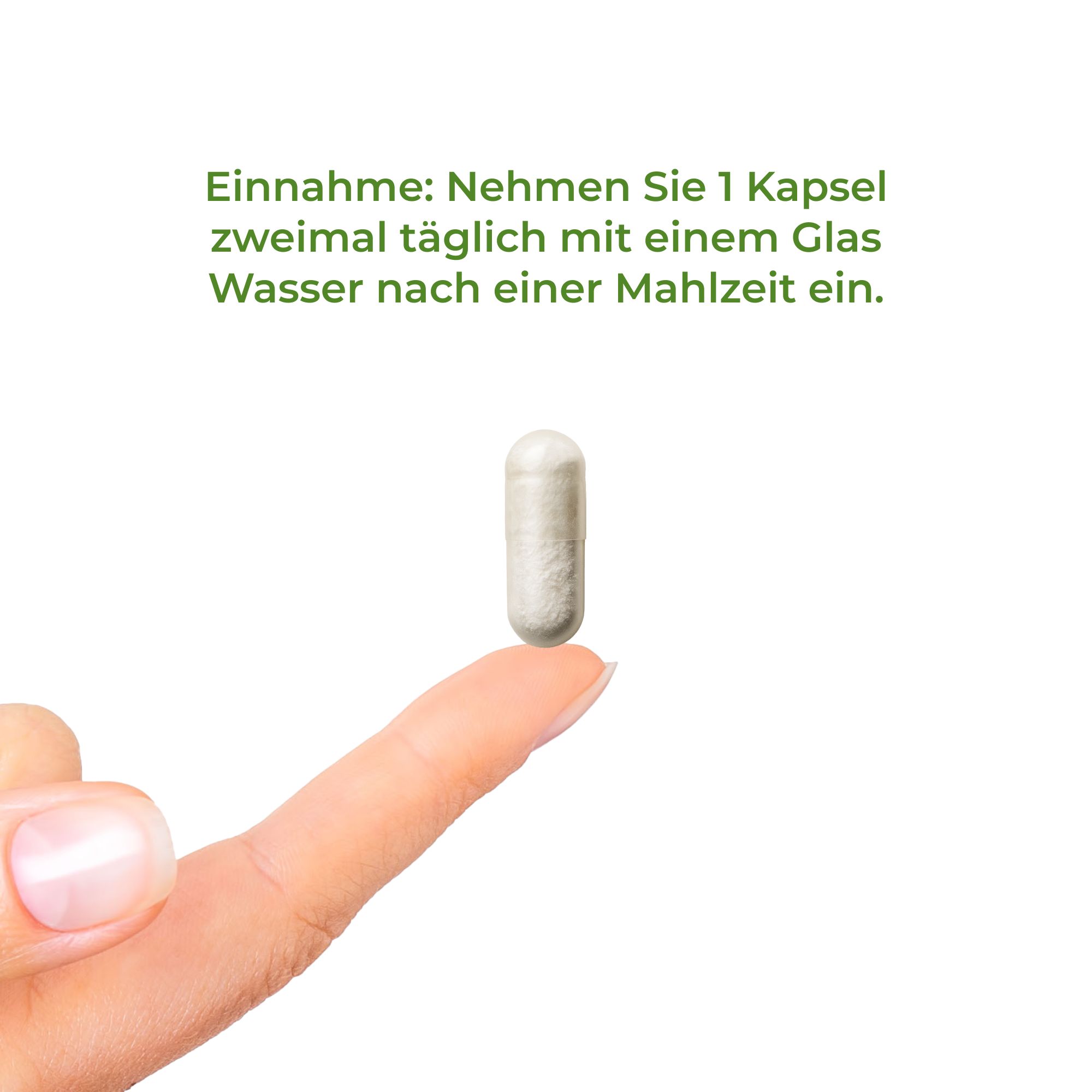 Vitality Nutritionals MagNityX15 Complex