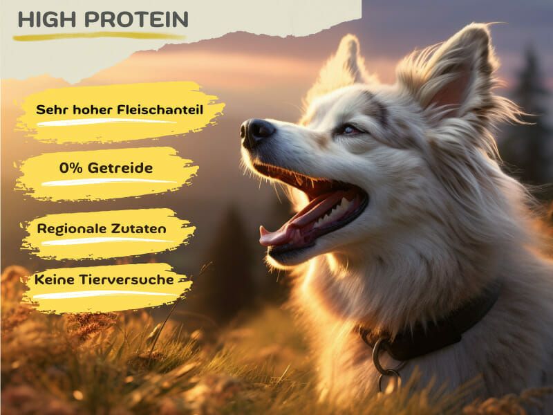 MyPetClub getreidefreies High Protein Hundefutter 1x14,5 kg Futter