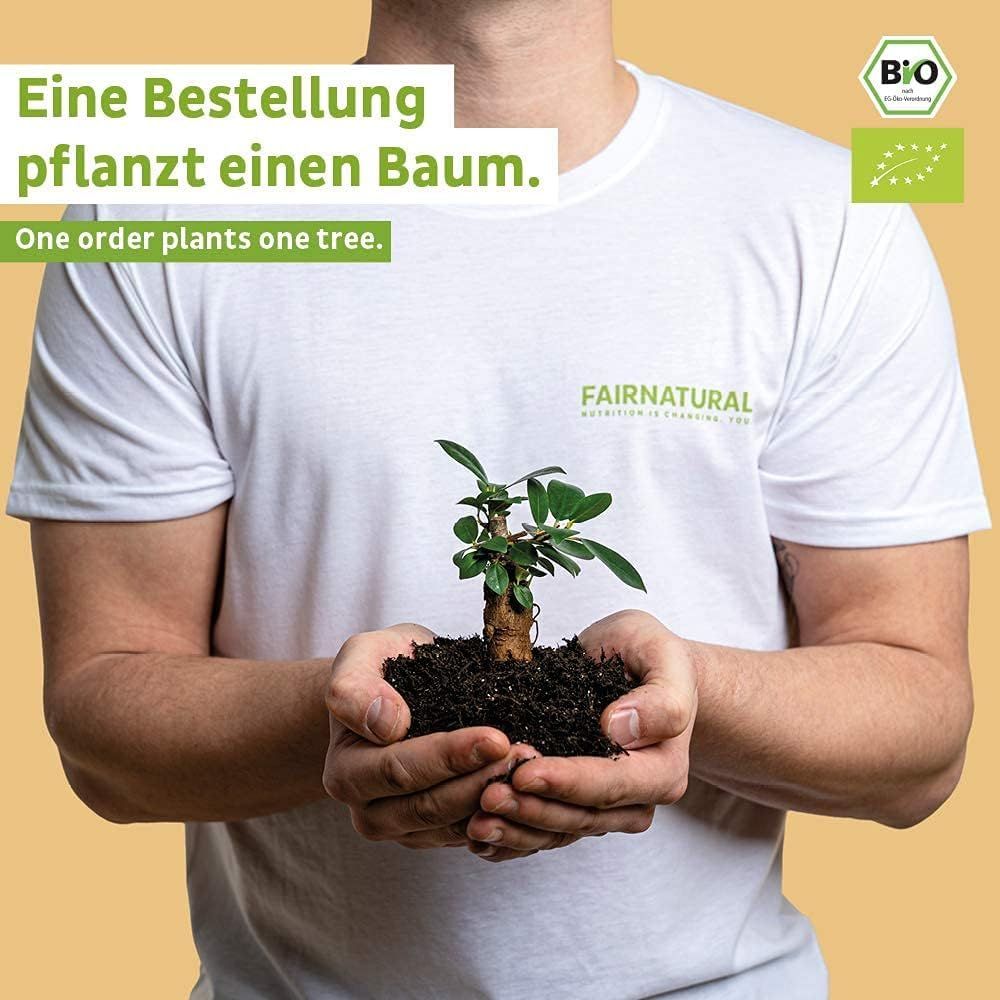 FAIRNATURAL Zeremonielles Bio Matcha Pulver aus Japan