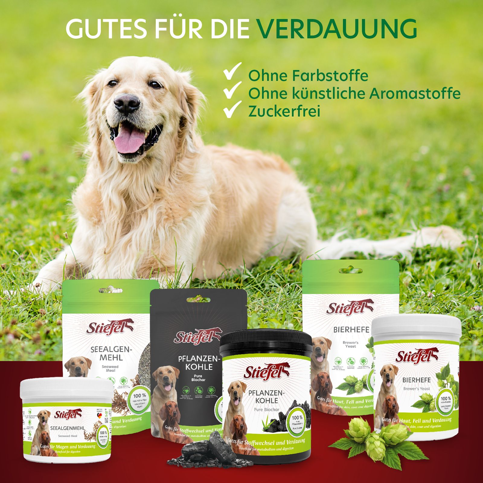 Verschiedene Stiefel-Produkte auf Gras. Seealgenmehl, Bierhefe und Pflanzenkohle. Hunde abgebildet.