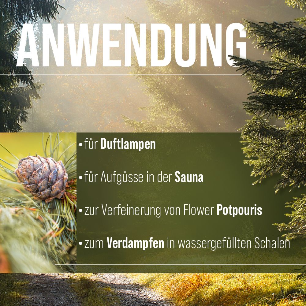 Text ANWENDUNG. Text: Für Duftlampen, Sauna, Flower Potpourris, Verdampfen in Schalen. Kiefernzweig mit Zapfen.