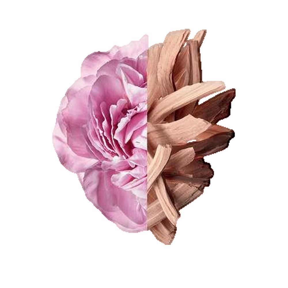 Halbseitig rosa Blüte, andere Hälfte Holzstücke. Hintergrund weiß.