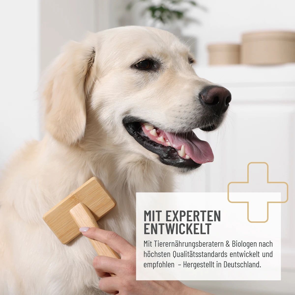 Hund wird mit Bürste gekämmt. Text: Mit Experten entwickelt. Hergestellt in Deutschland. Logo: Pluszeichen.
