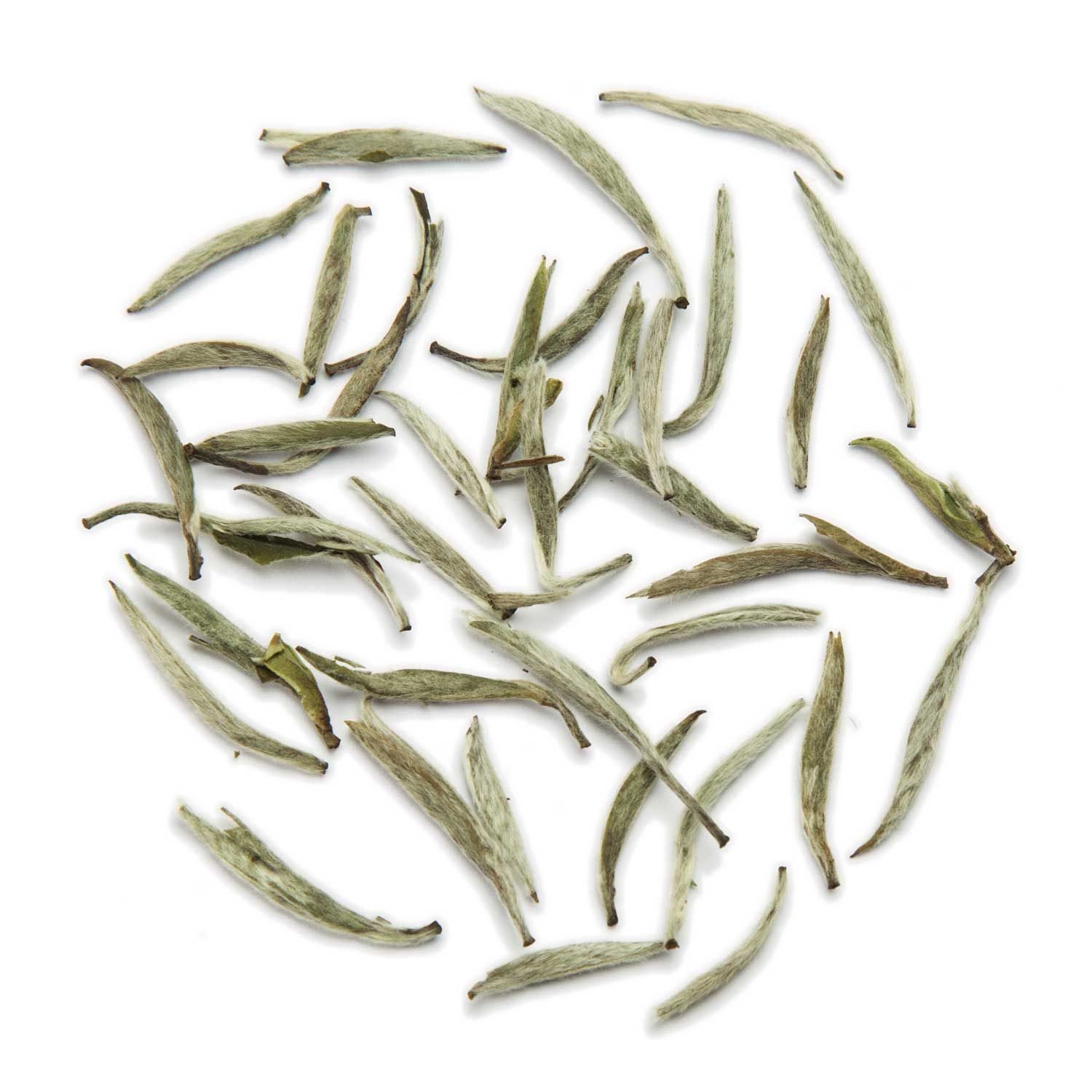 tea exclusive - Silver Needle Weißer Tee China bio