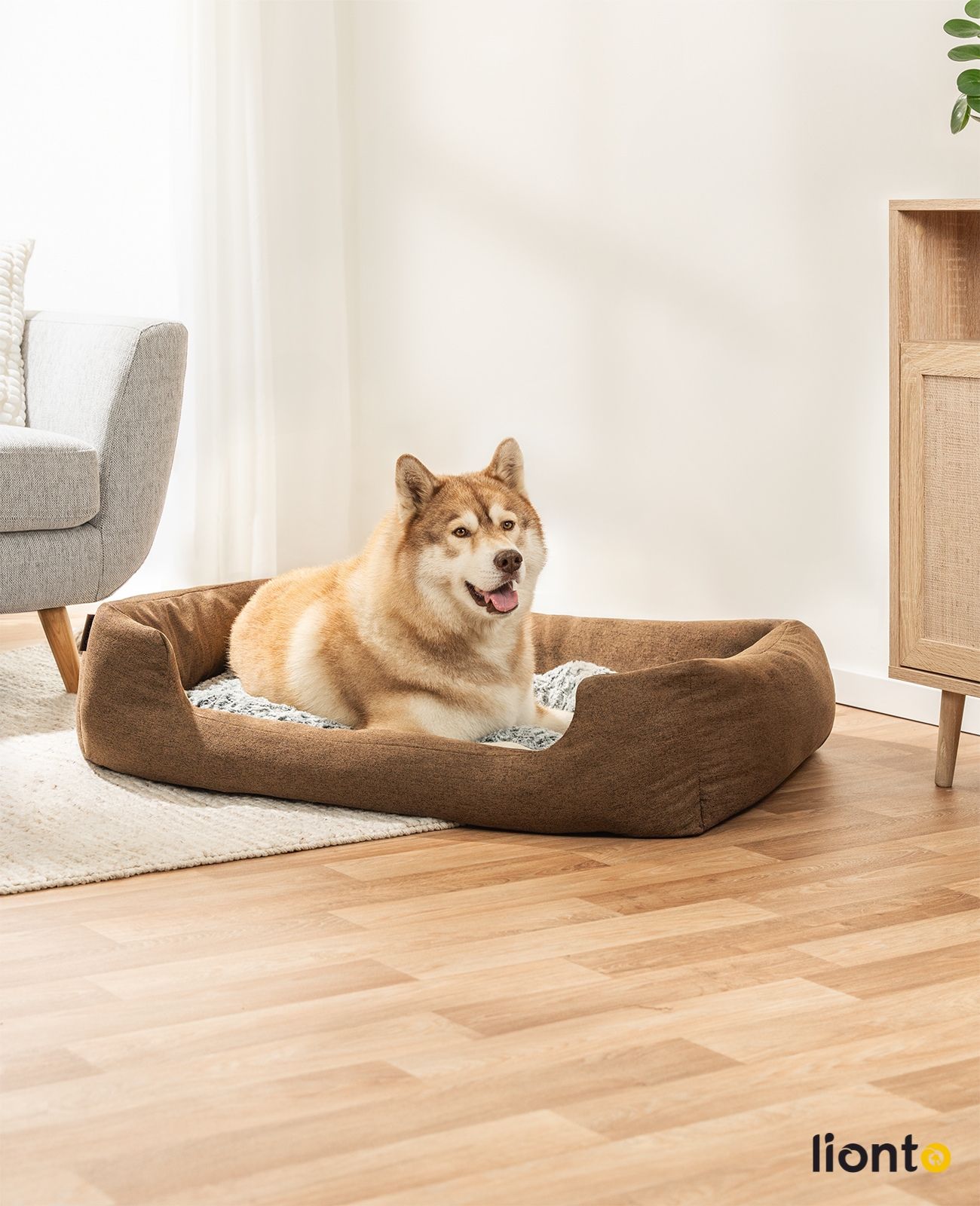 lionto Hundebett mit Wendekissen