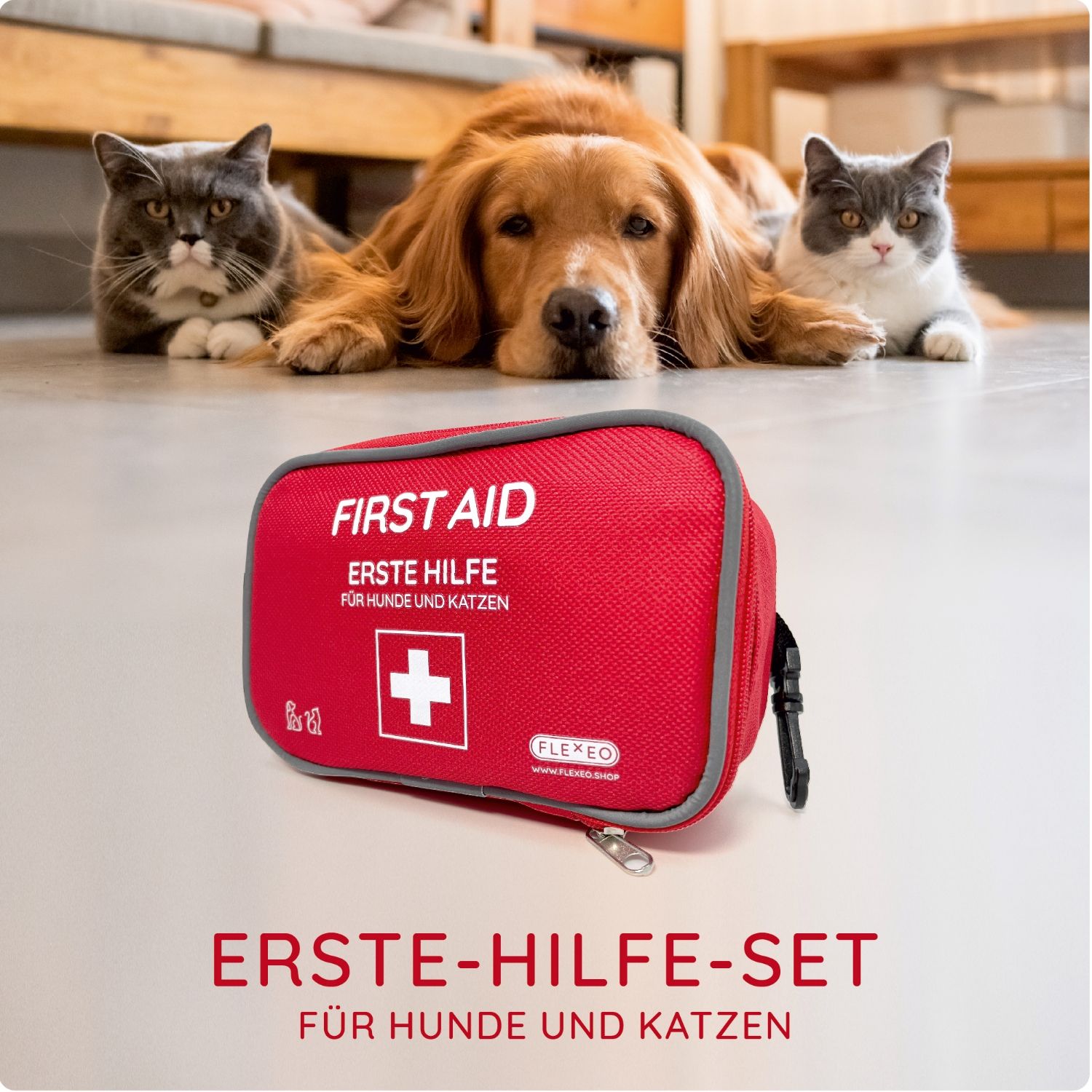 Rotes Erste-Hilfe-Set mit weißem Kreuz, Text: FIRST AID, ERSTE HILFE, FÜR HUNDE UND KATZEN. Hunde und Katzen liegen im Hintergrund.