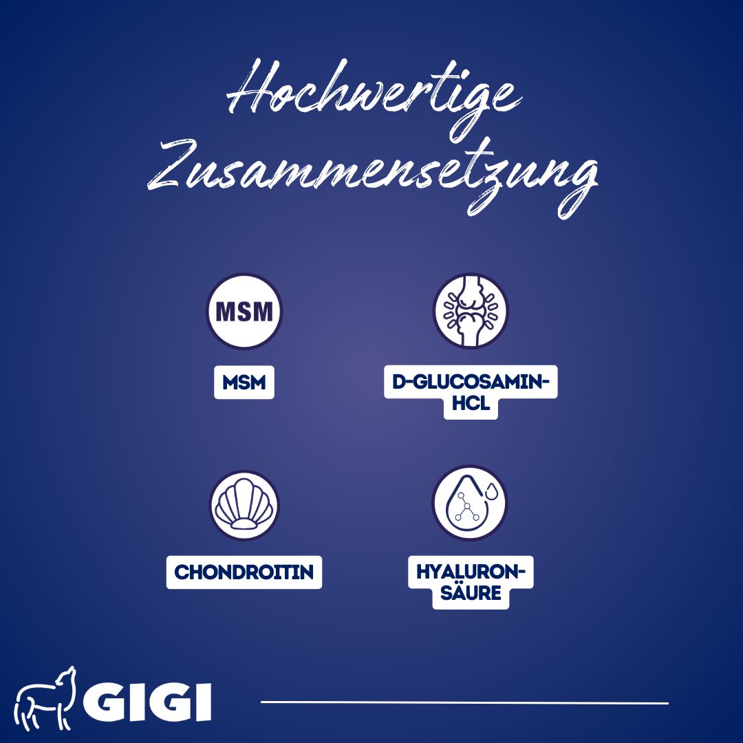 Grafik mit Symbolen für MSM, D-Glucosamin-HCL, Chondroitin und Hyaluronsäure. GIGI Logo.