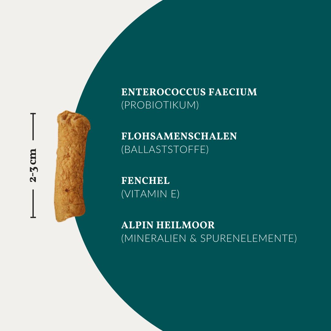 vetevo Belly Bites Hund