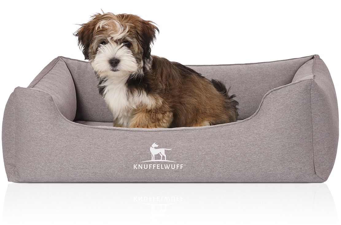 Knuffelwuff Orthopädisches Hundebett Leano