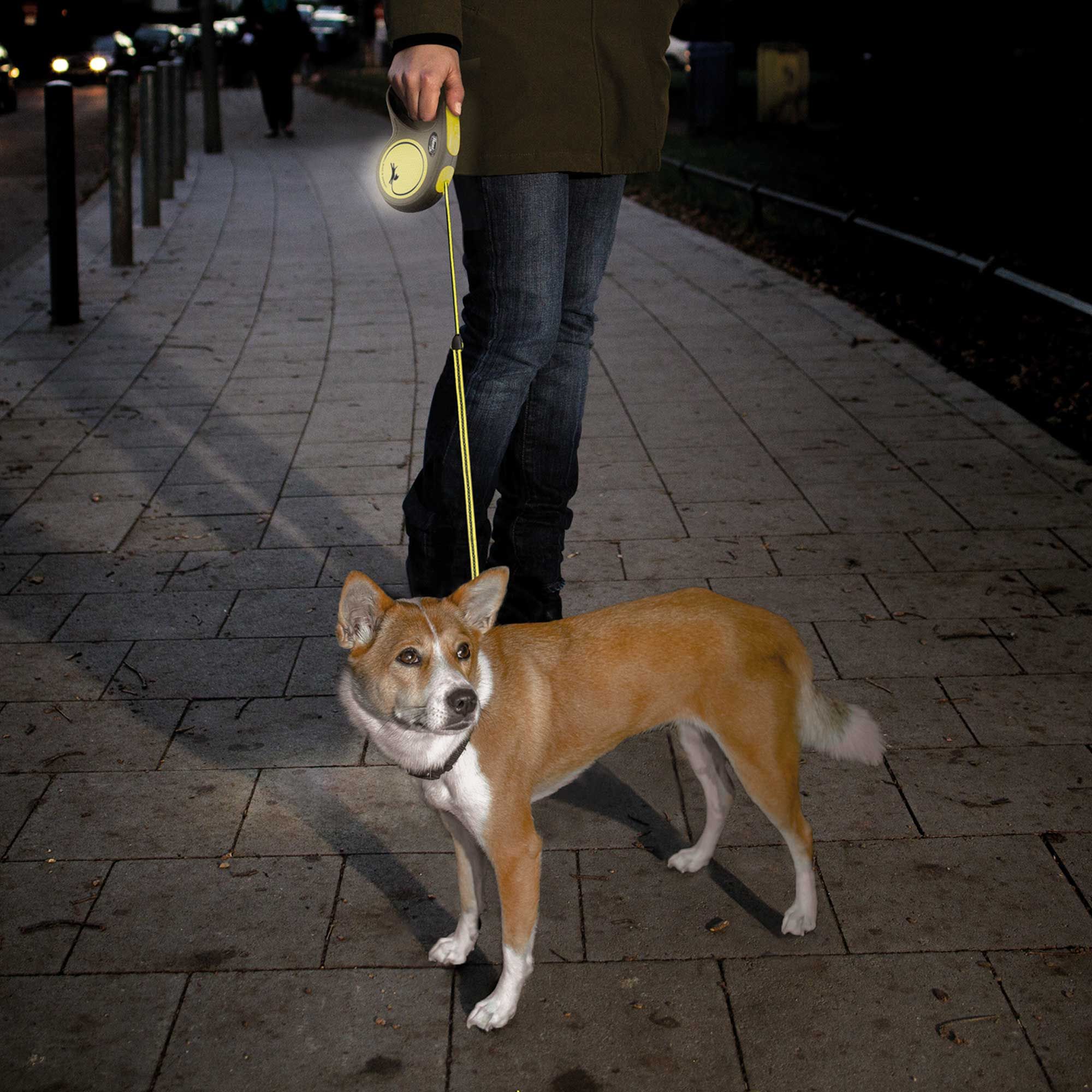 Person mit Flexi-Leine und Hund. Gelbes Seil, schwarzer Griff. Reflektierendes Element. Hund steht auf Bürgersteig.