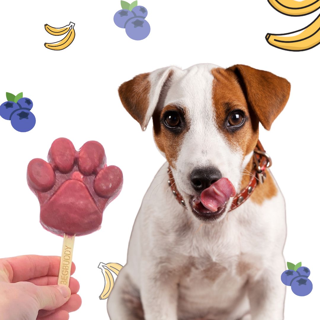 BeG Buddy Eis für Hunde