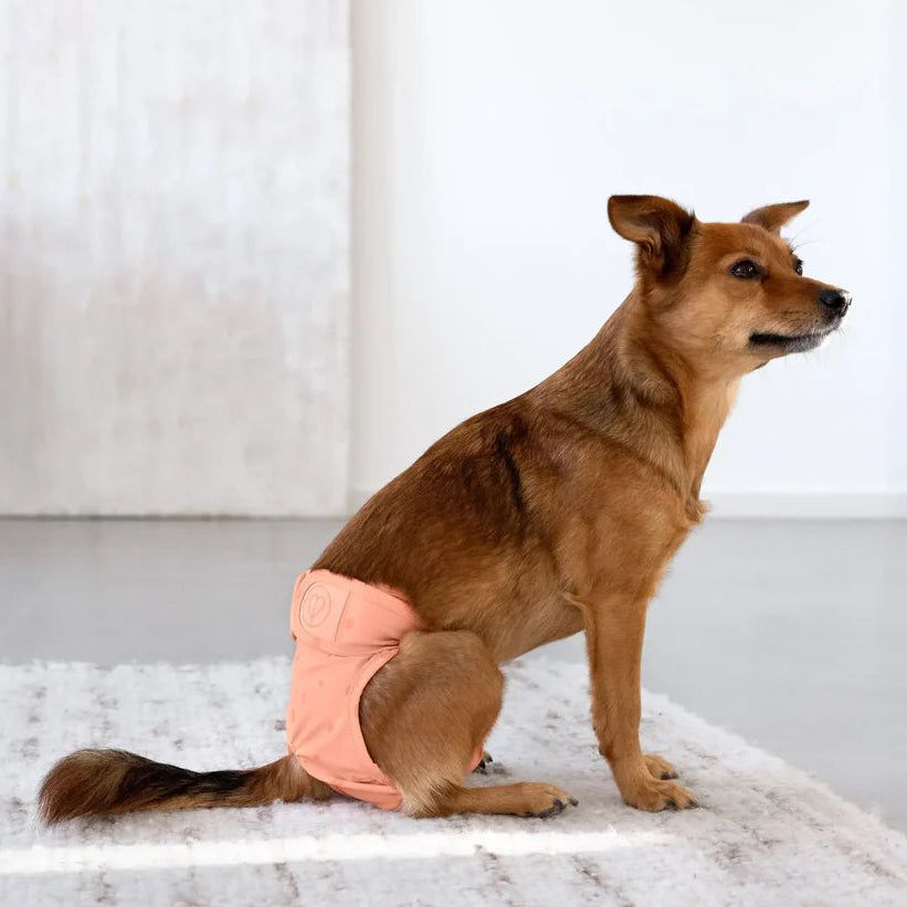 Palopa Läufigkeitshöschen & Hundewindel Glan Peach