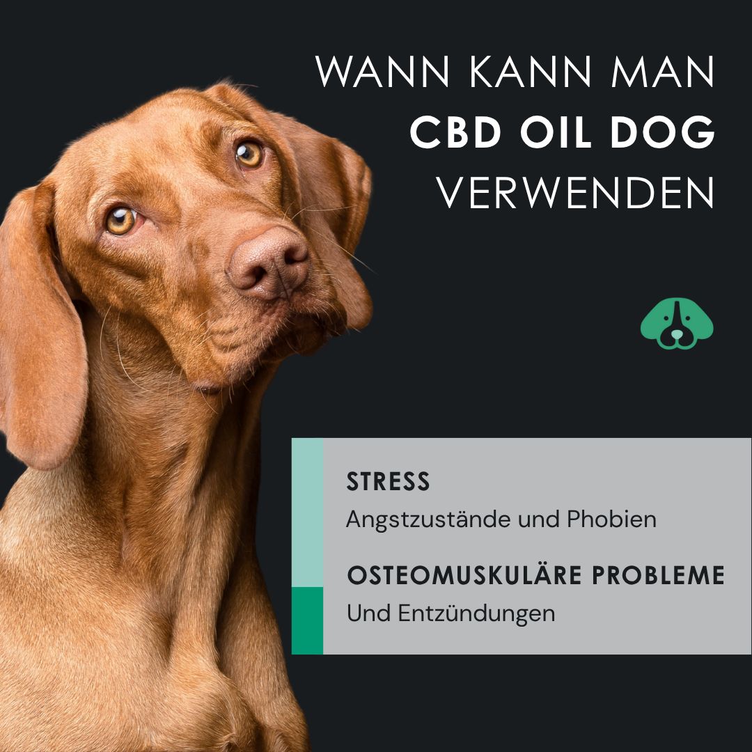 CBD-Öl-Flasche für Katzen. 100% natürlich, reich an Vitaminen, ohne Lösungsmittel, 0% THC. Vegan.