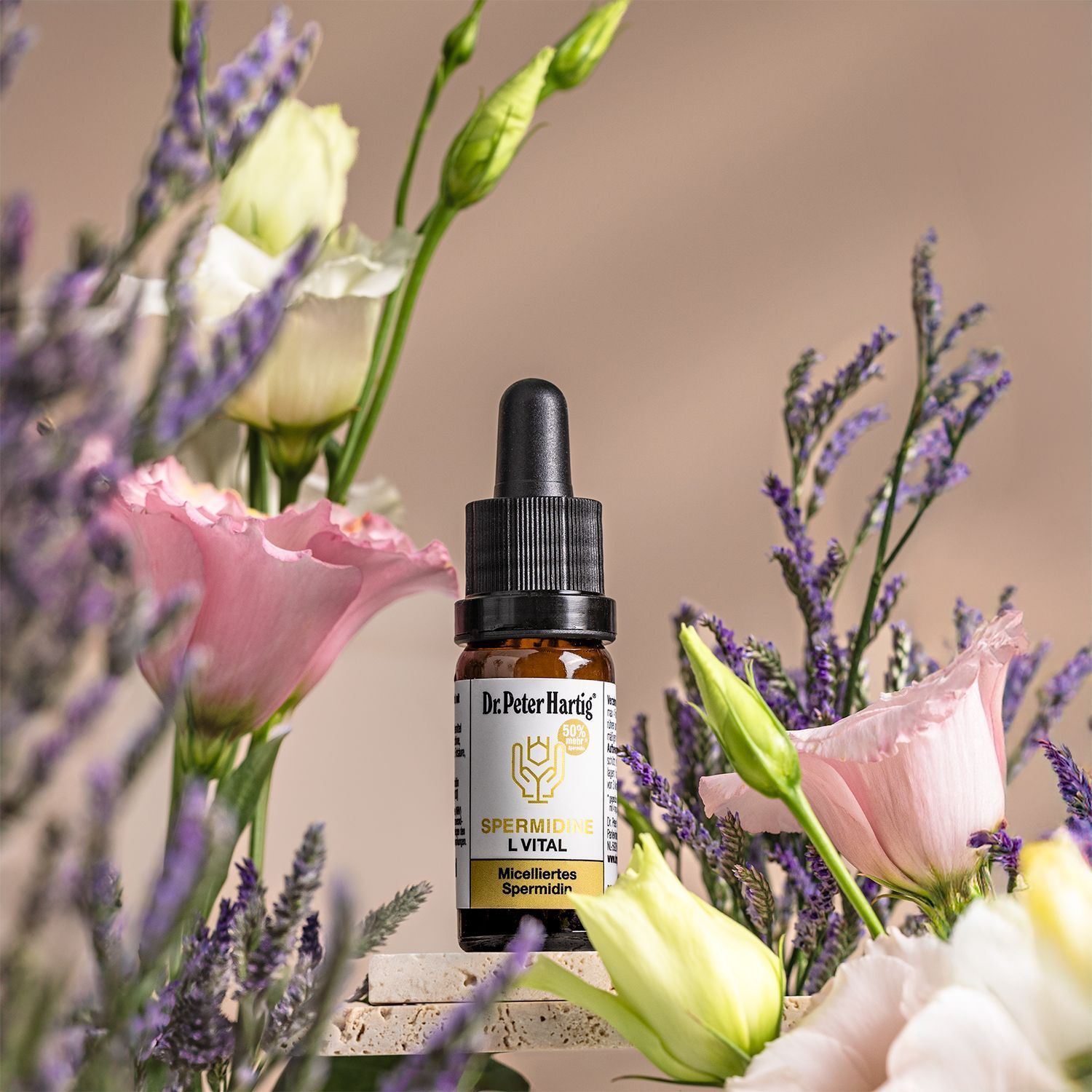 Komposition mit Glas, Erdbeeren, Strohhalm und Flasche. Flasche mit Tropfer, Produktname: Spermidine L Vital.