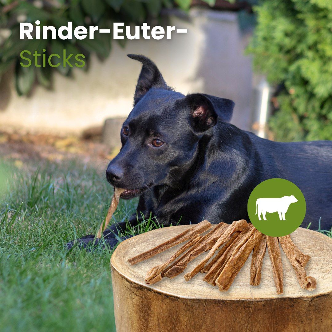 Schwarzer Hund kaut auf Rinder-Euter-Stick, Produkt liegt auf Baumstamm.