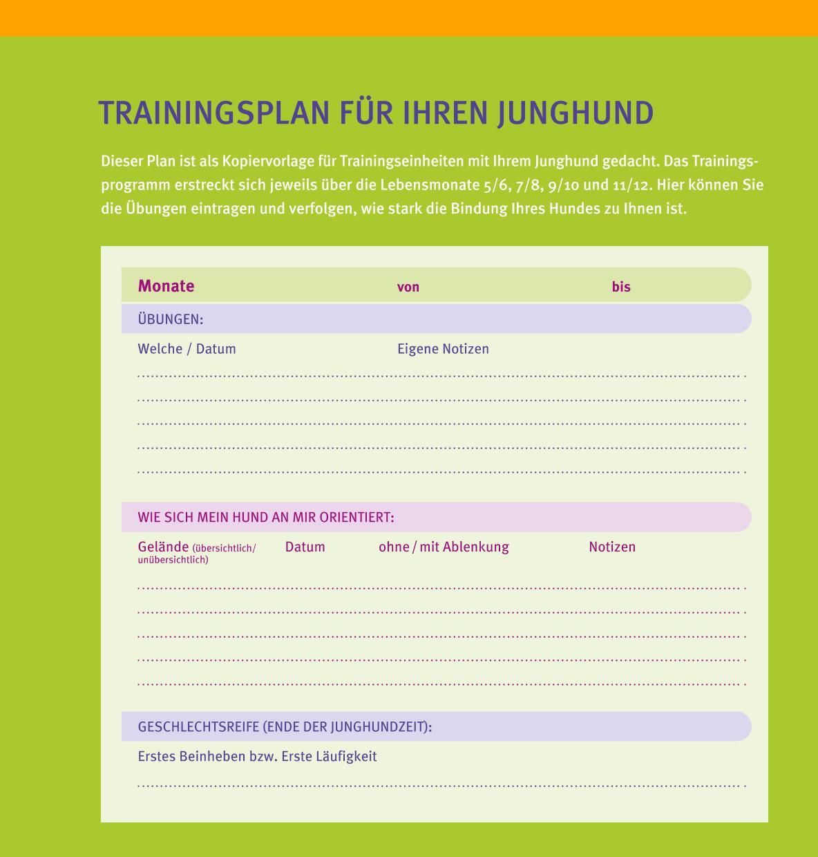 Trainingsplan für Junghunde. Tabellen mit Spalten für Übungen, Datum und Notizen. Text über die Bindung des Hundes.