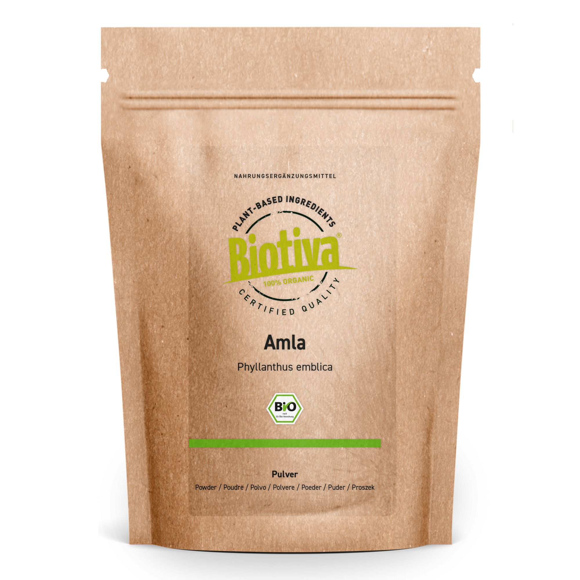 Braune Tüte mit Biotiva Amla Pulver. Text: Amla, Phyllanthus emblica, Pulver. Bio-Siegel.