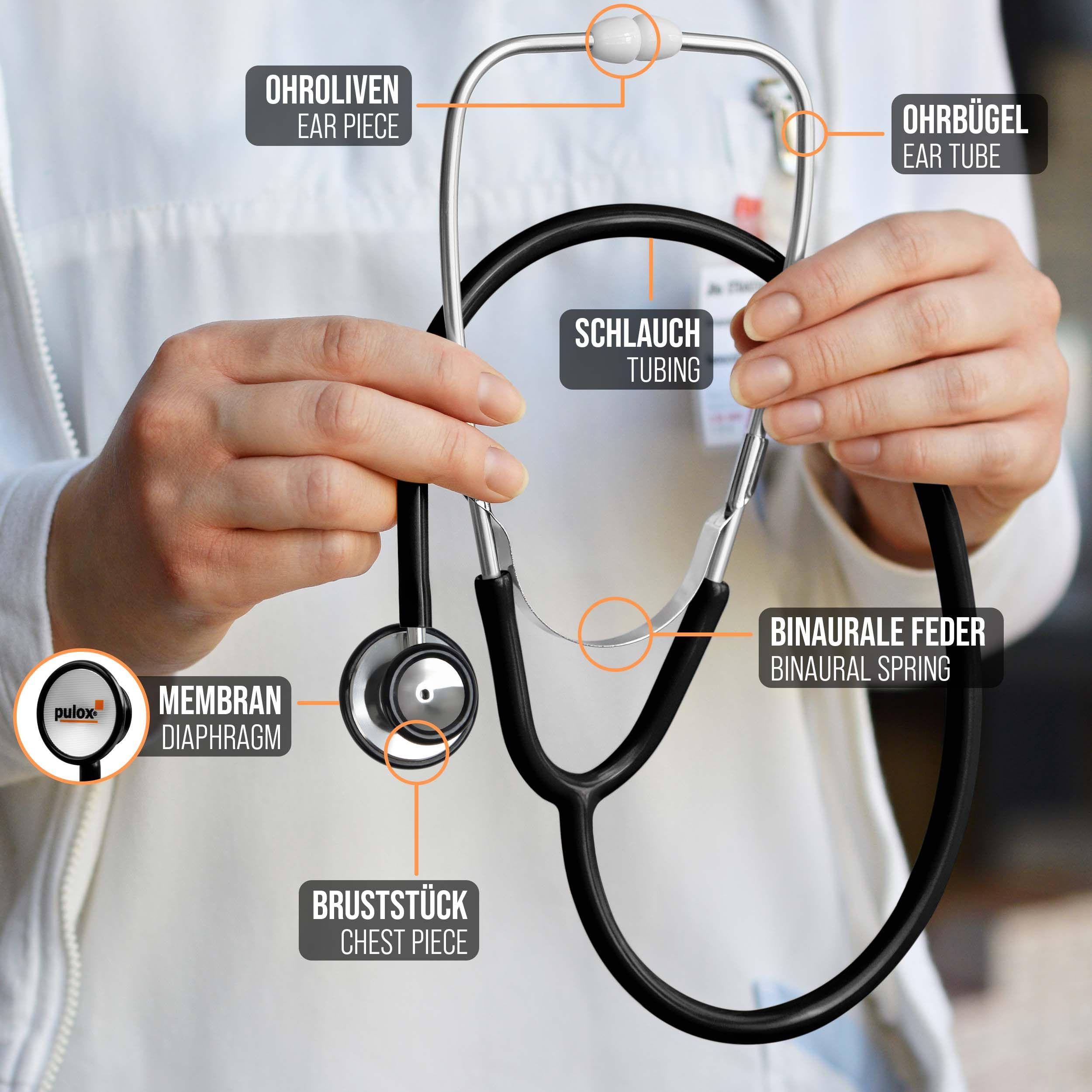 Nahaufnahme eines Stethoskops, das von Händen gehalten wird. Beschriftungen zeigen Teile: Ohroliven, Ohrbügel, Schlauch, Binaurale Feder, Bruststück, Membran.